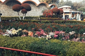 A beautifully landscaped garden featuring a variety of colorful flowers arranged in neat rows. The garden is surrounded by neatly trimmed hedges and ornamental trees, with a stone wall and a structure visible in the background.