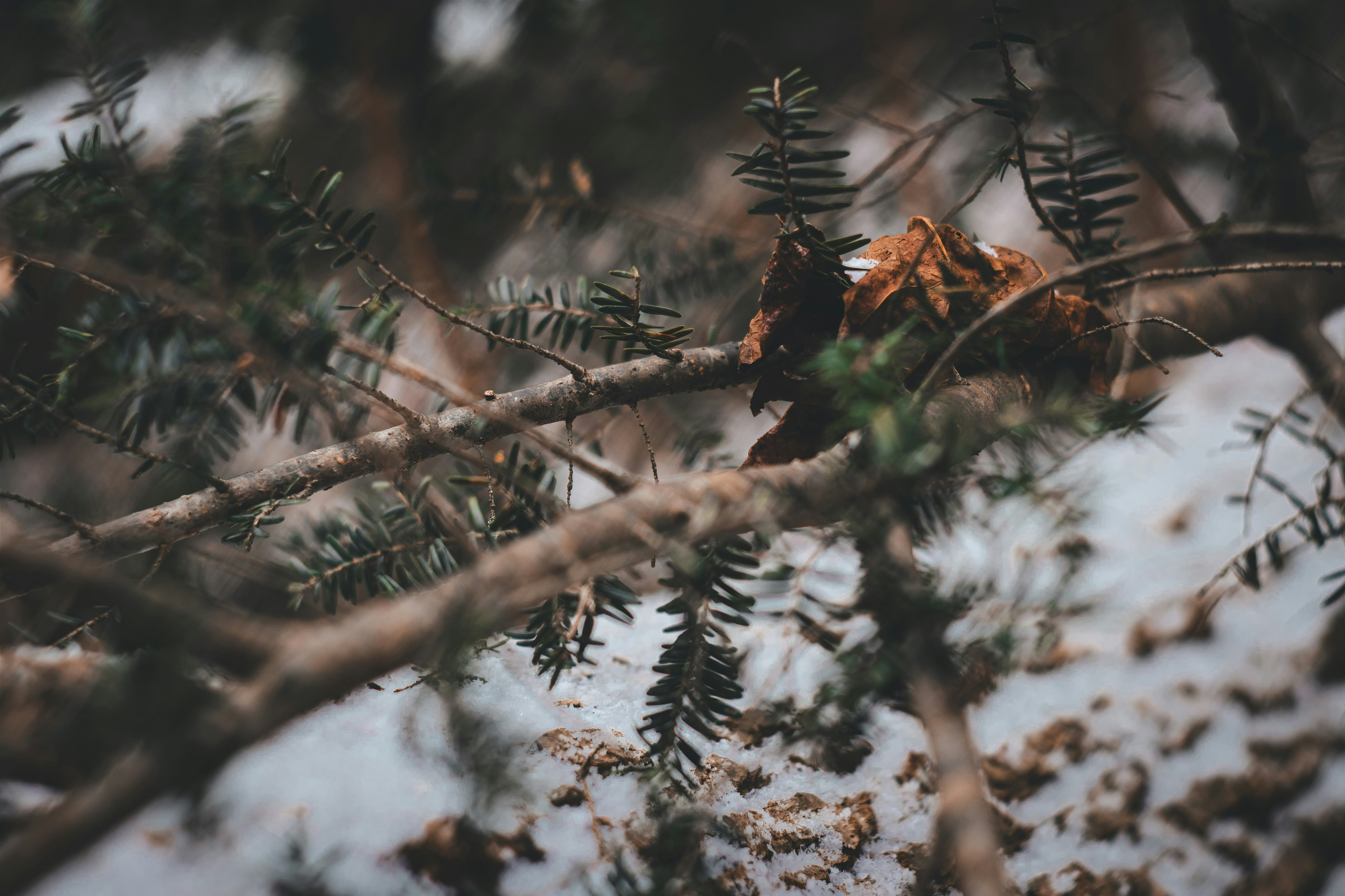 Photo by brice_cooper18