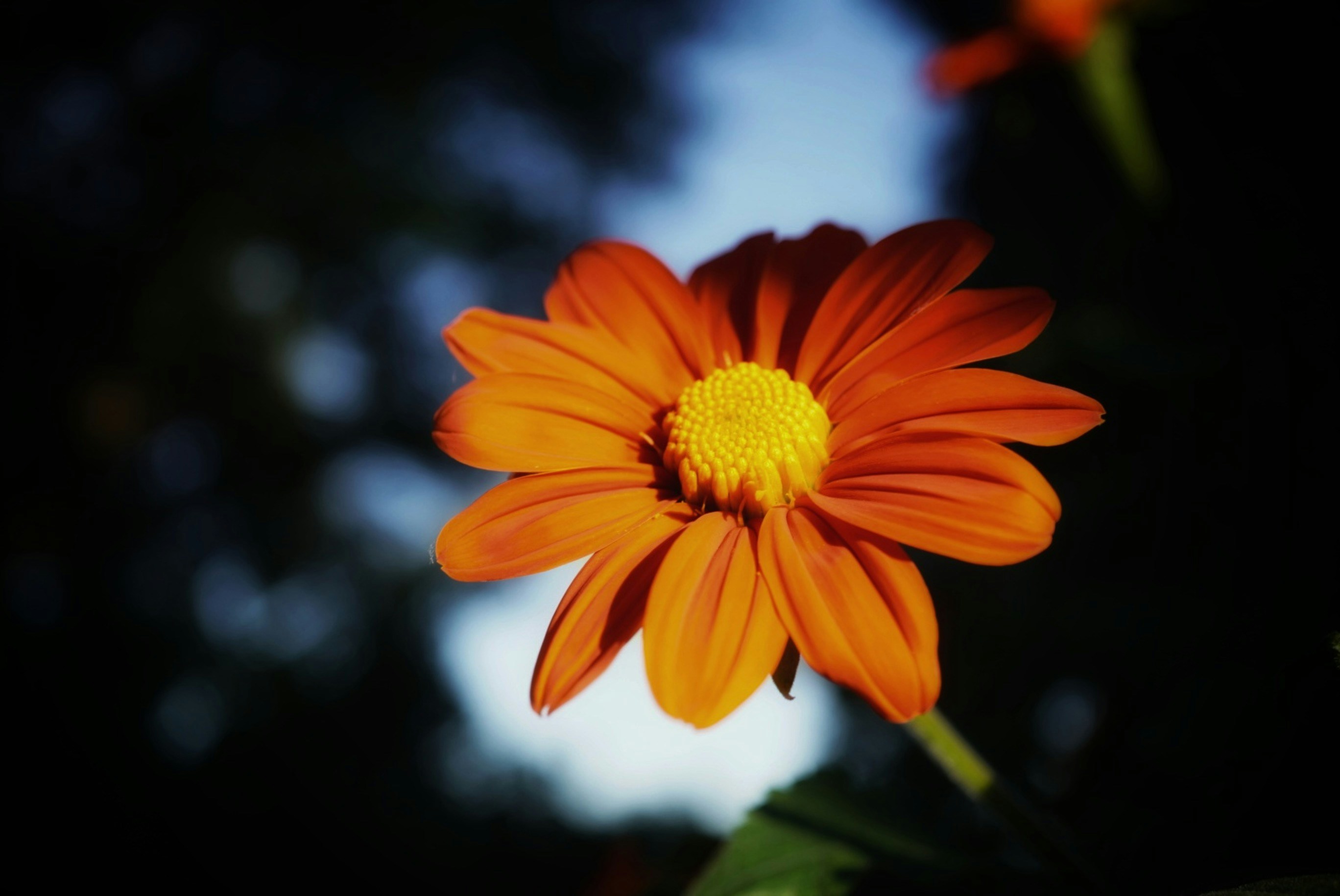 Photo by meri_vasilevski