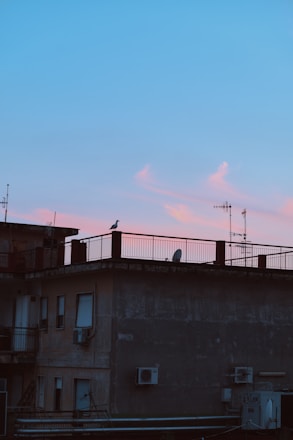 A technician installing anti-pigeon netting on a rooftop in Casablanca under a clear sky.