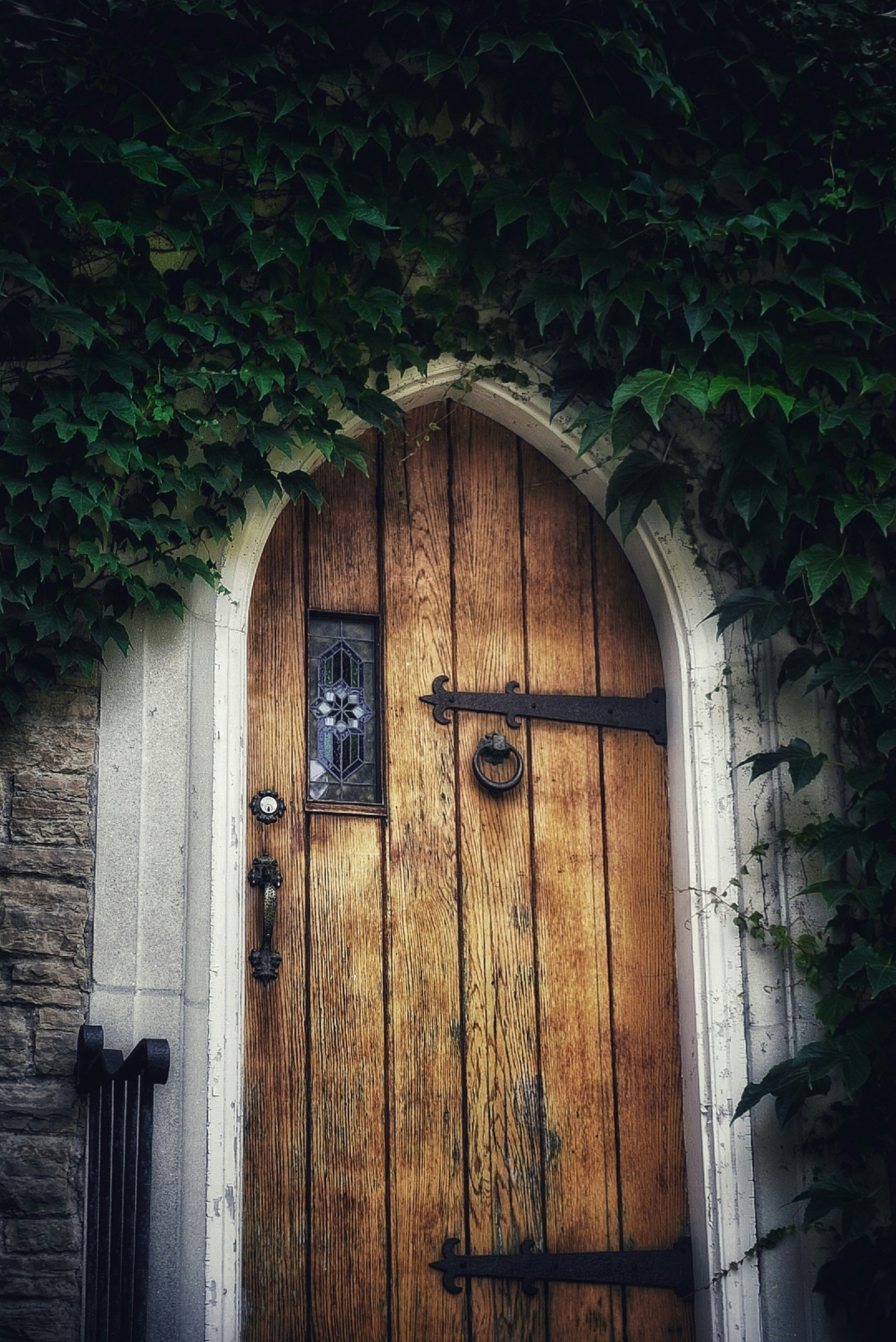 Photo by meri_vasilevski