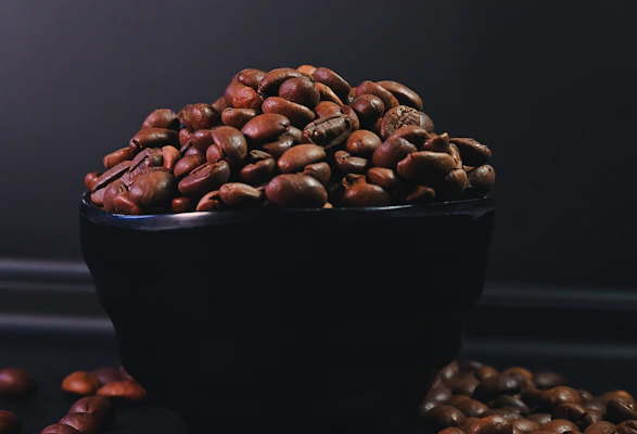 A rustic driftwood bowl filled with rich, dark roasted coffee beans, glowing softly under the warm light of a glass fishing float.