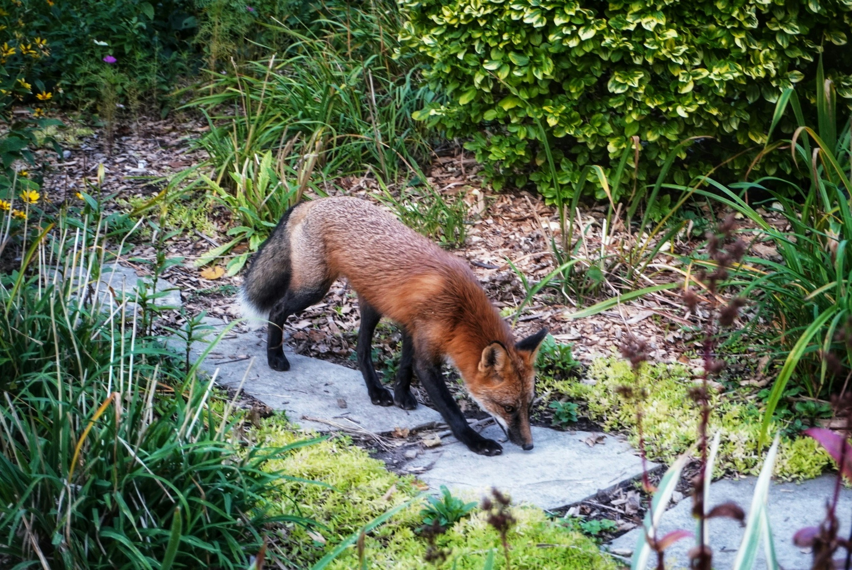 Photo by meri_vasilevski