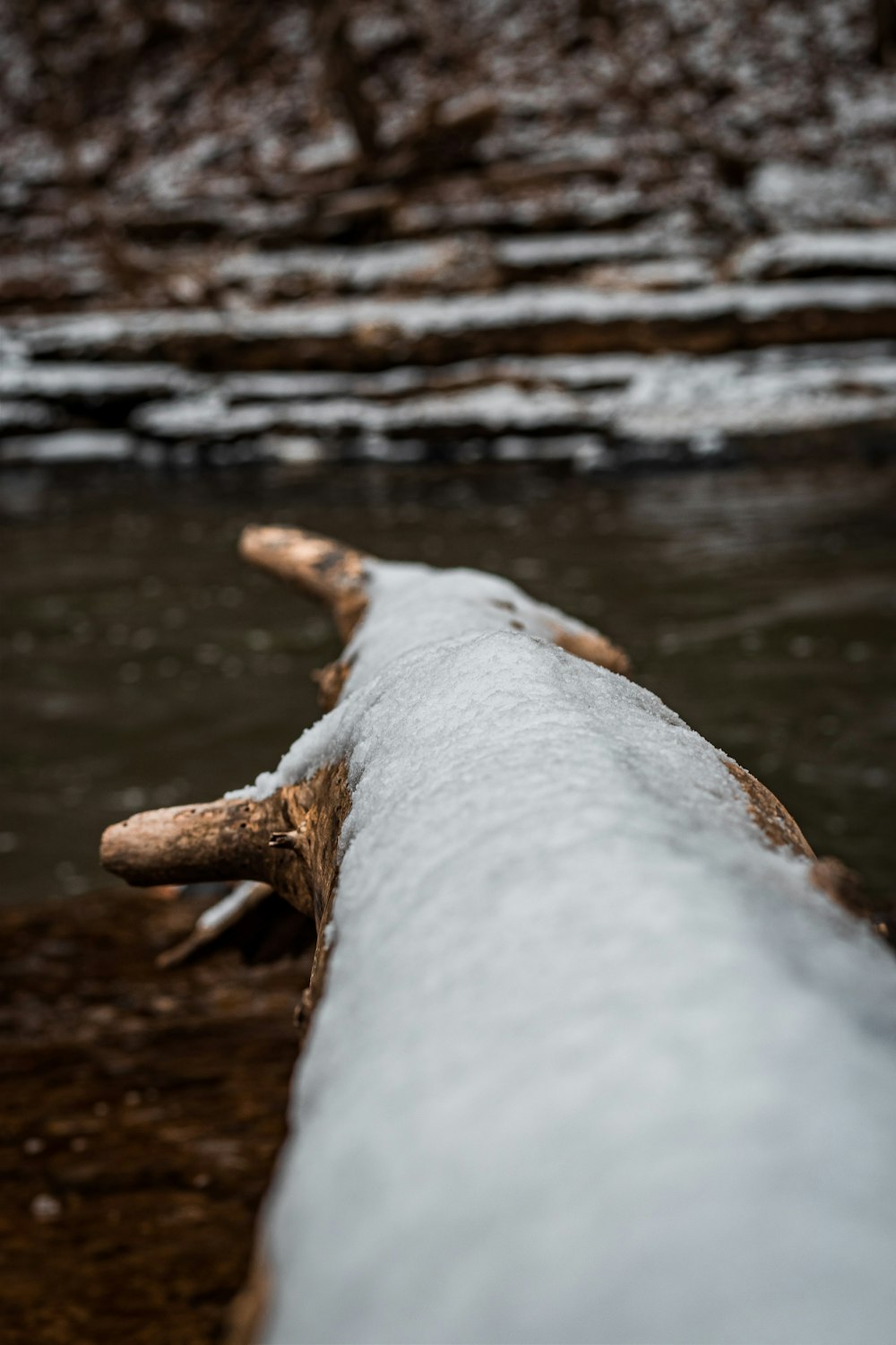 a log that is covered in snow next to a body of water