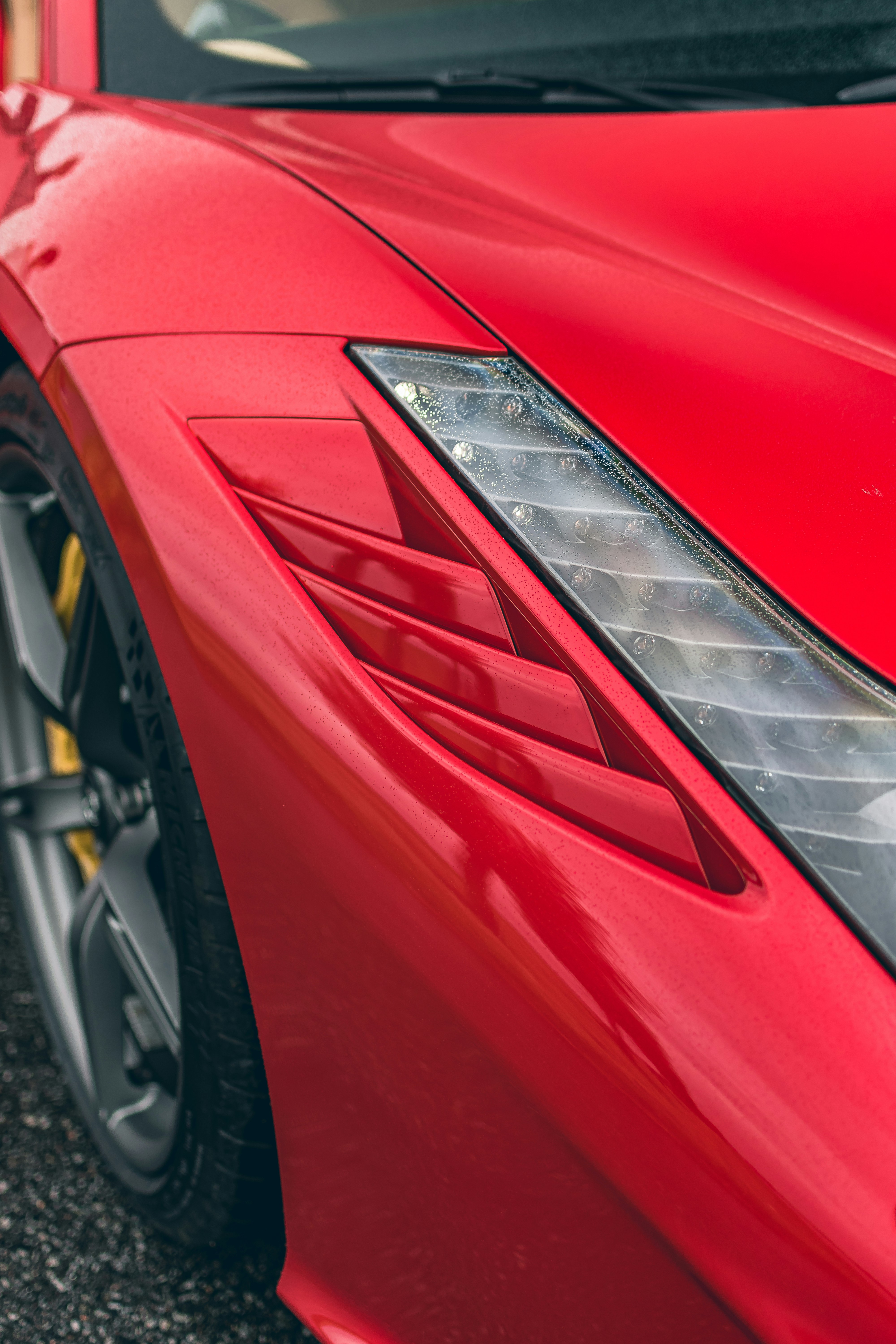 Photo by skold_anton