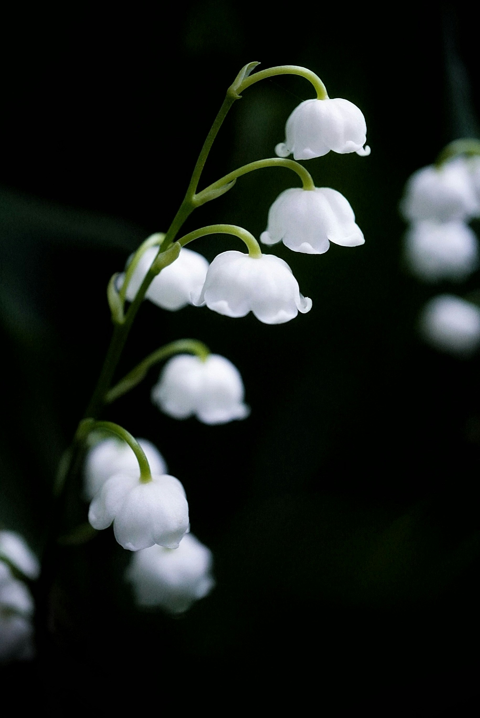 Photo by meri_vasilevski