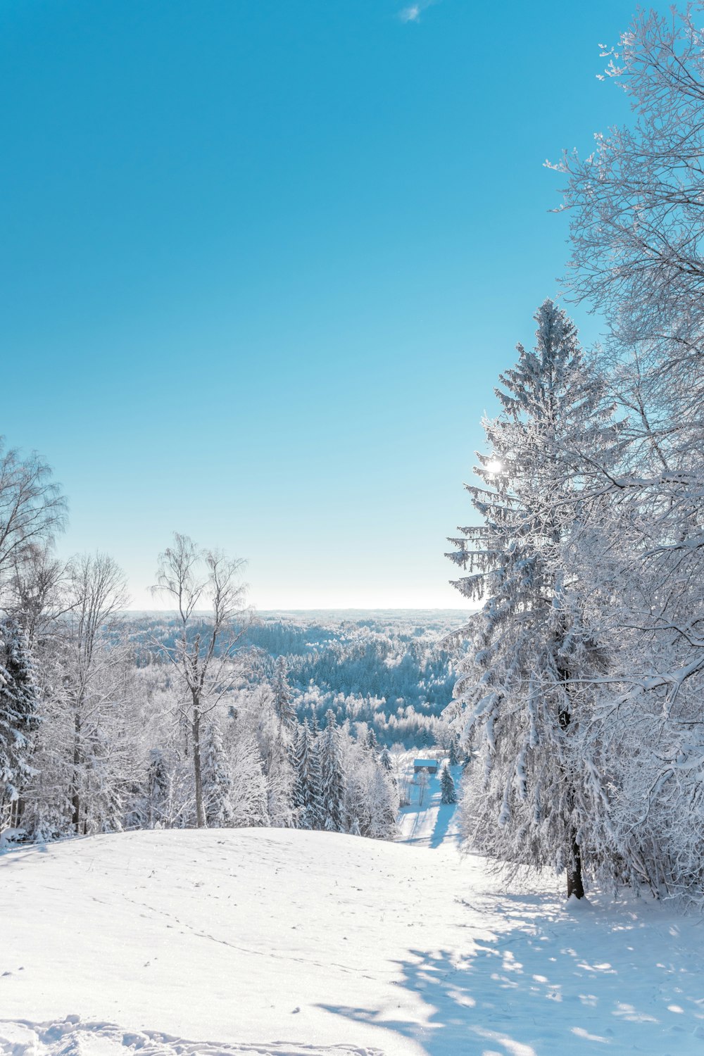 Eine verschneite Landschaft mit Bäumen und blauem Himmel