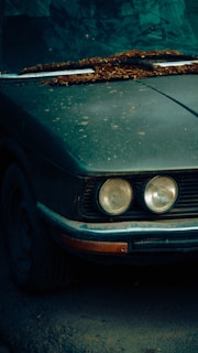 A section of an old car covered in dust and rust, with two round headlights and a weathered grille. Dry leaves are accumulated at the base of the windshield, indicating neglect. The car's surface shows signs of wear and damage, hinting at a lack of maintenance.