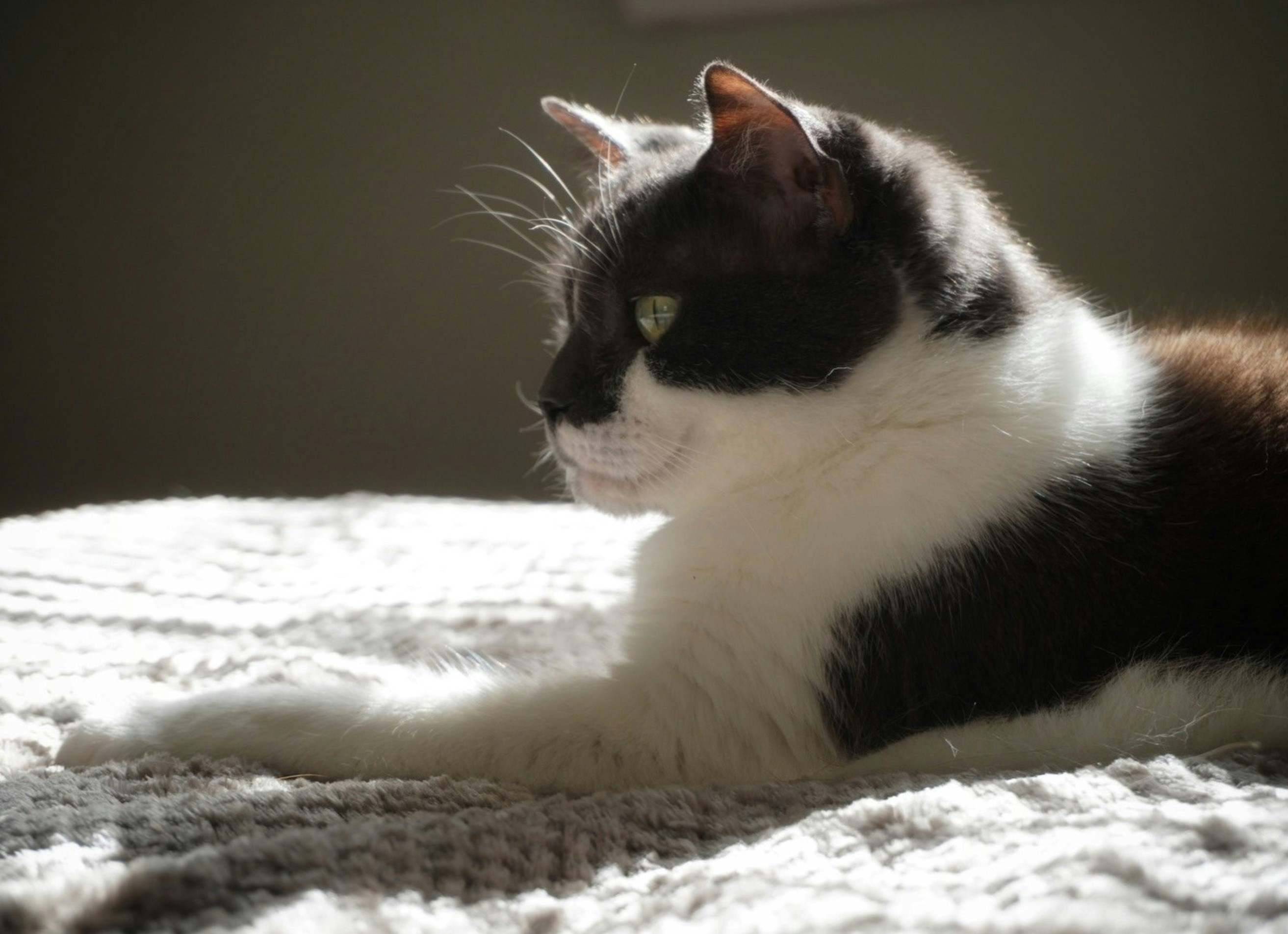 Photo by meri_vasilevski