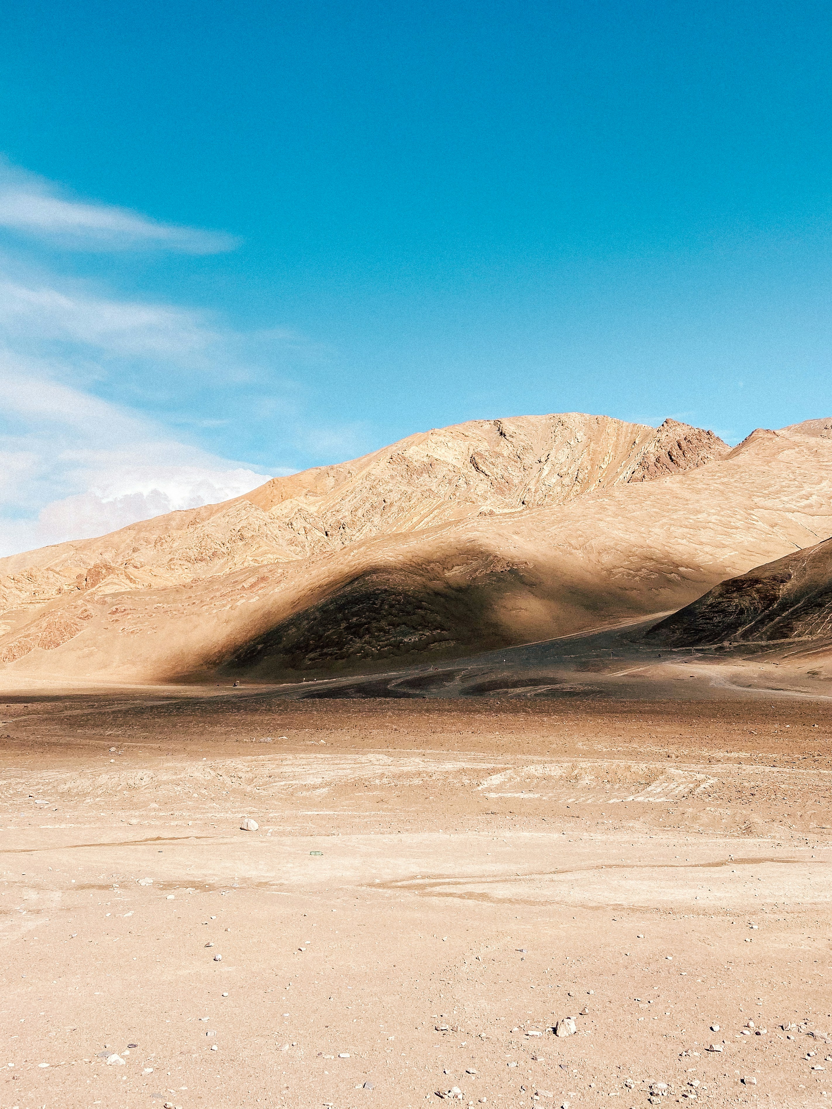 a desert landscape with mountains in the background