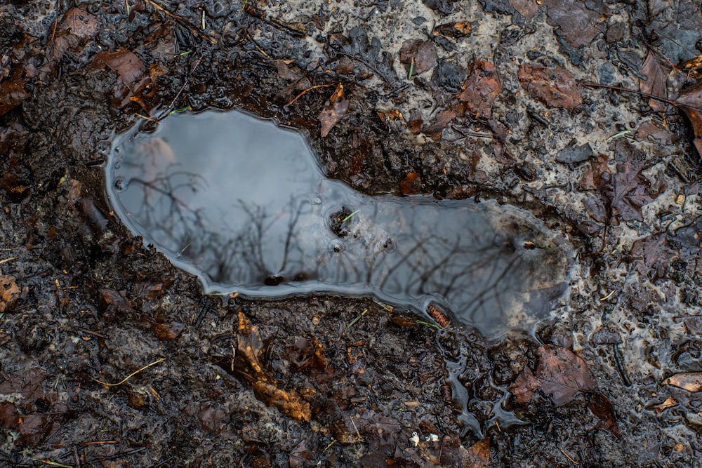 a puddle of water sitting on the ground