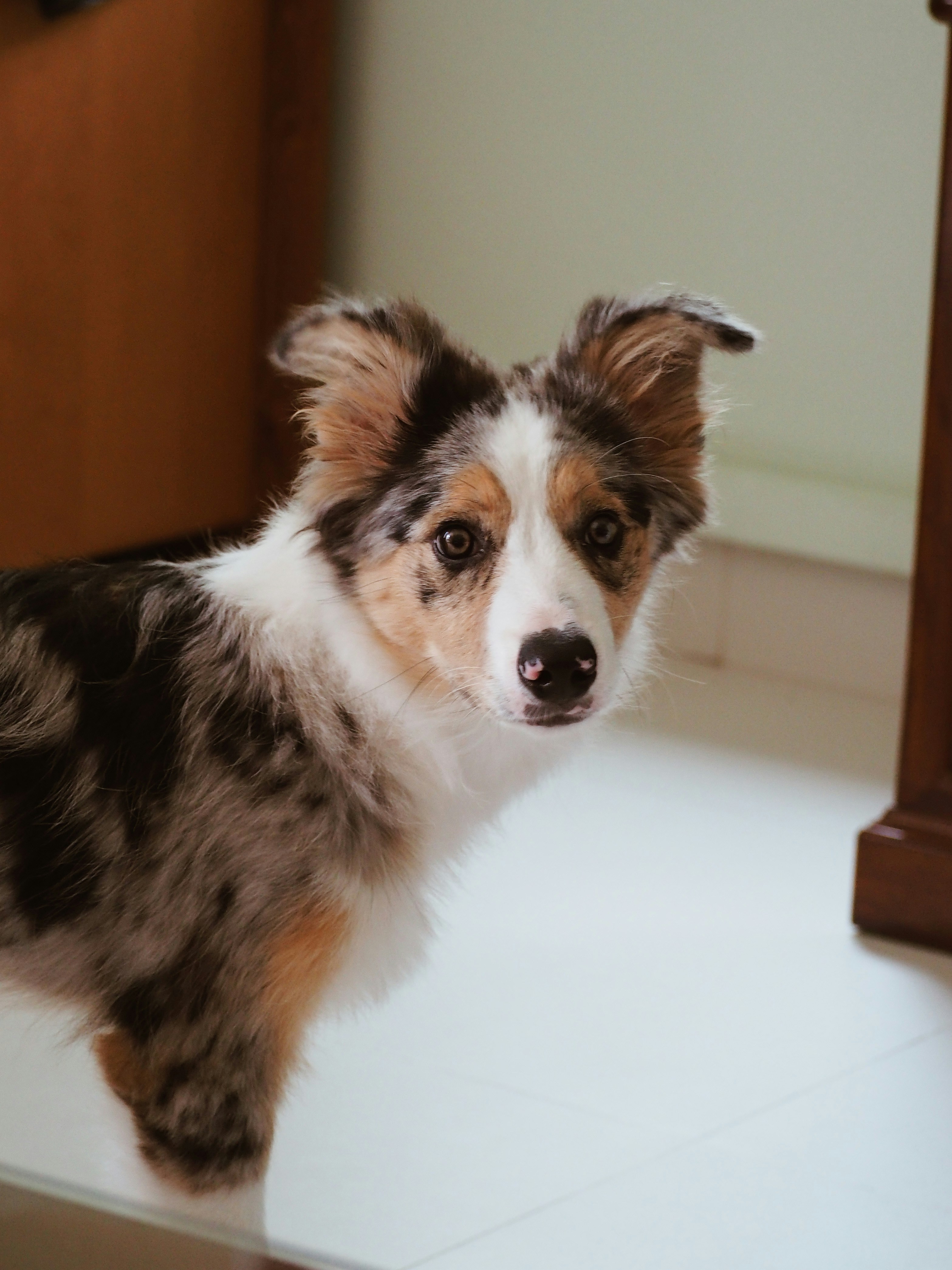 Photo by erniepanties