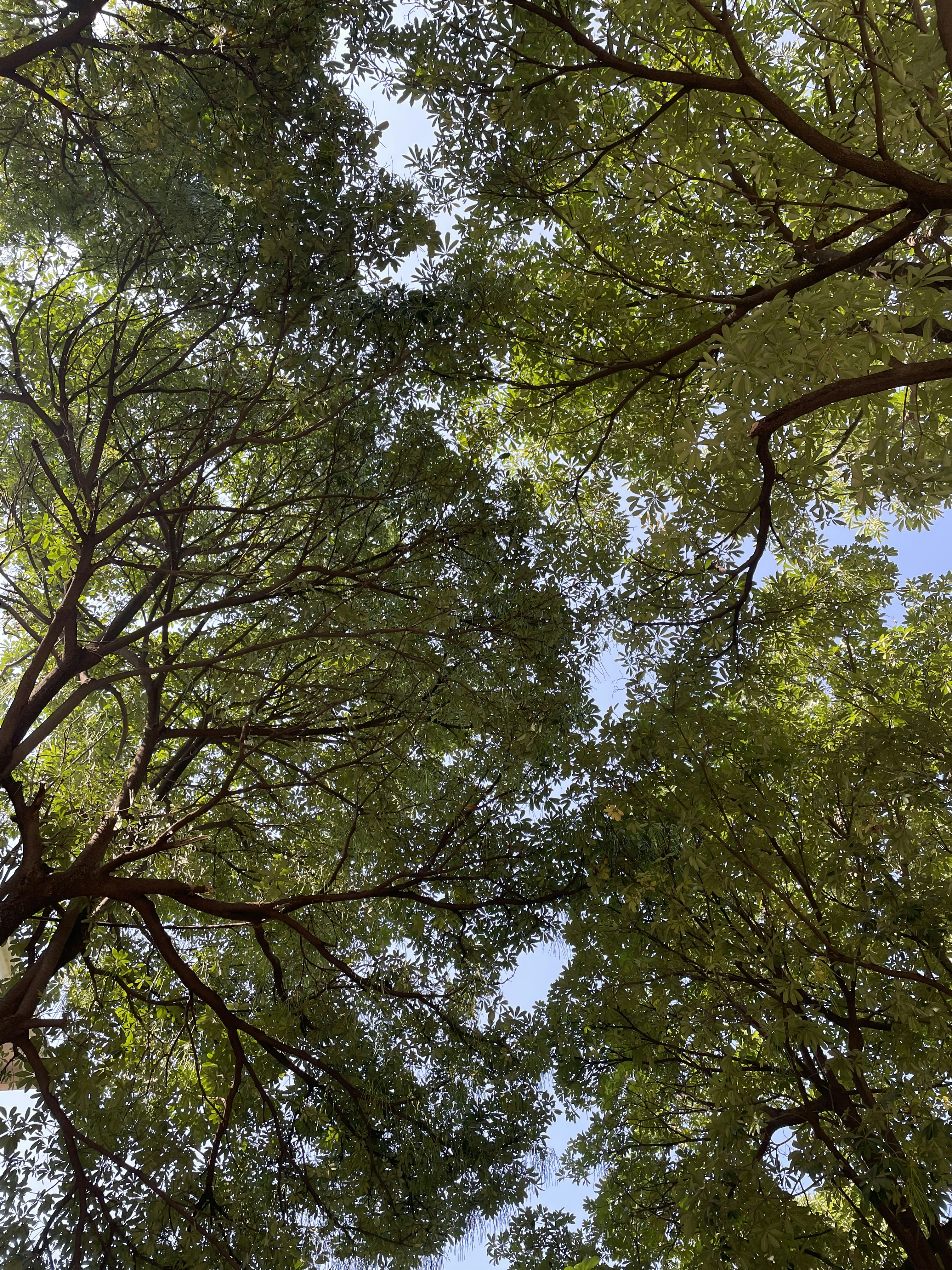 Photo by abhinavthom_22