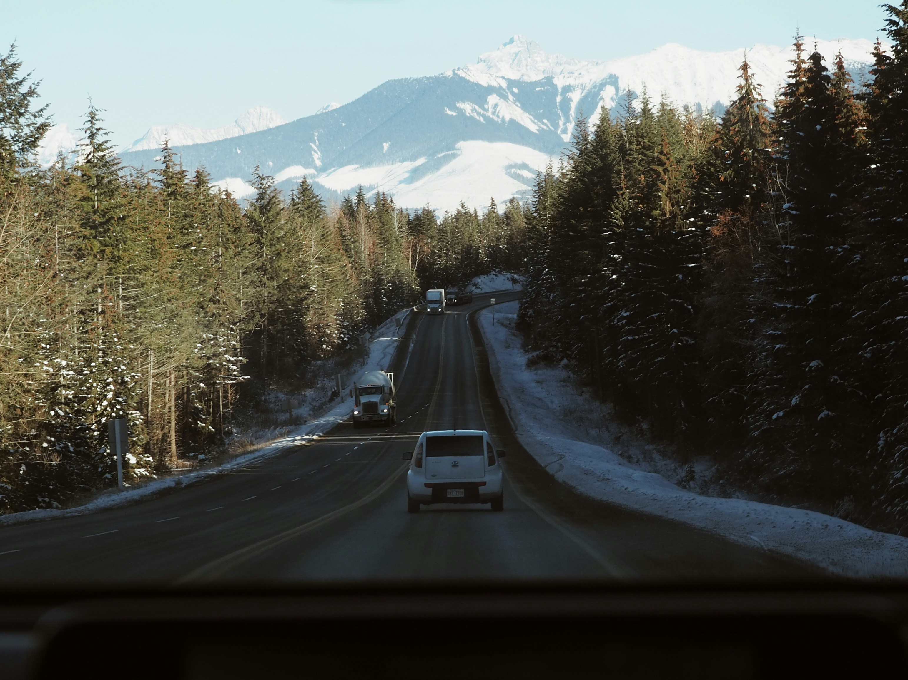 a car driving down a road next to a forest