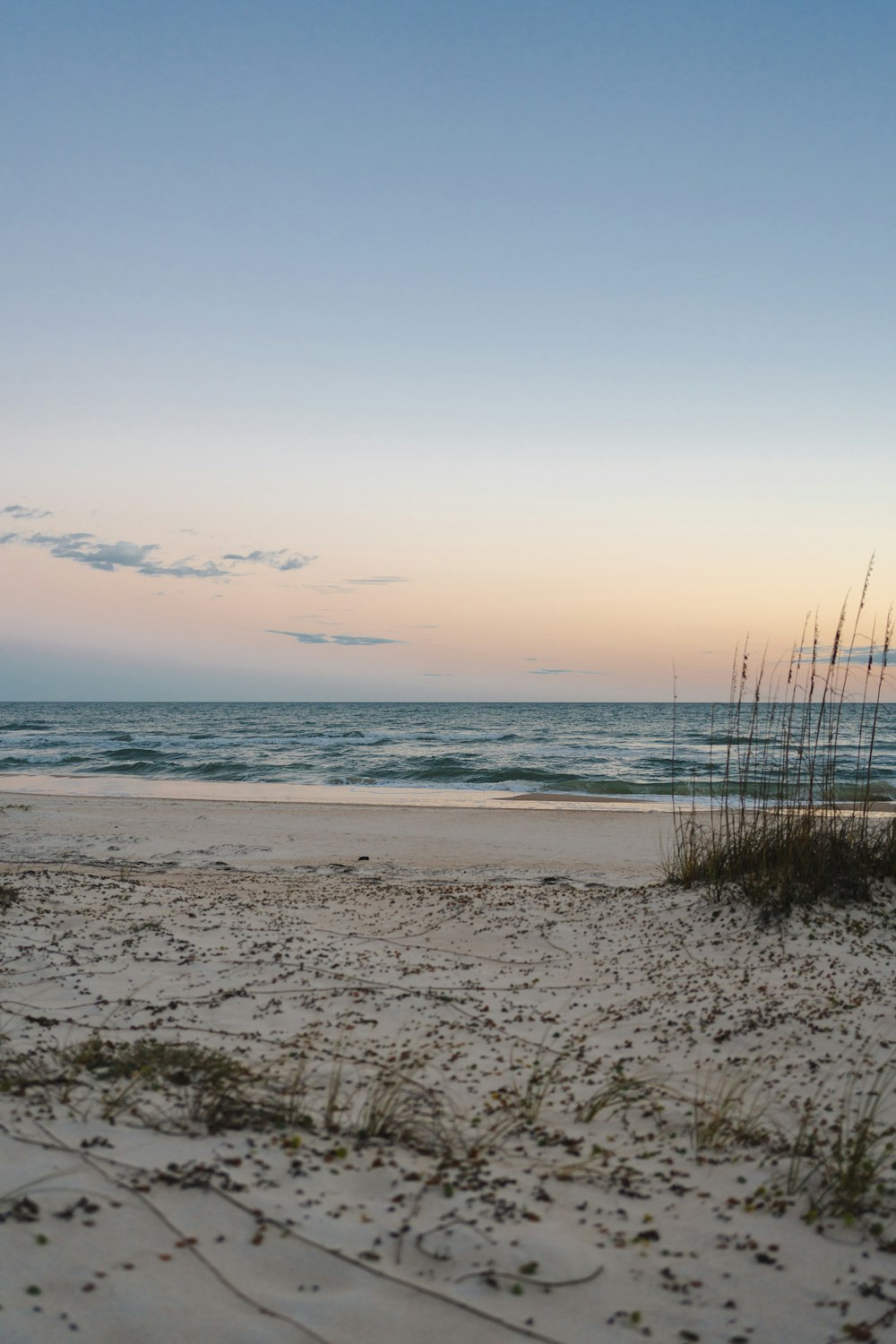 a sandy beach with grass and water in the background