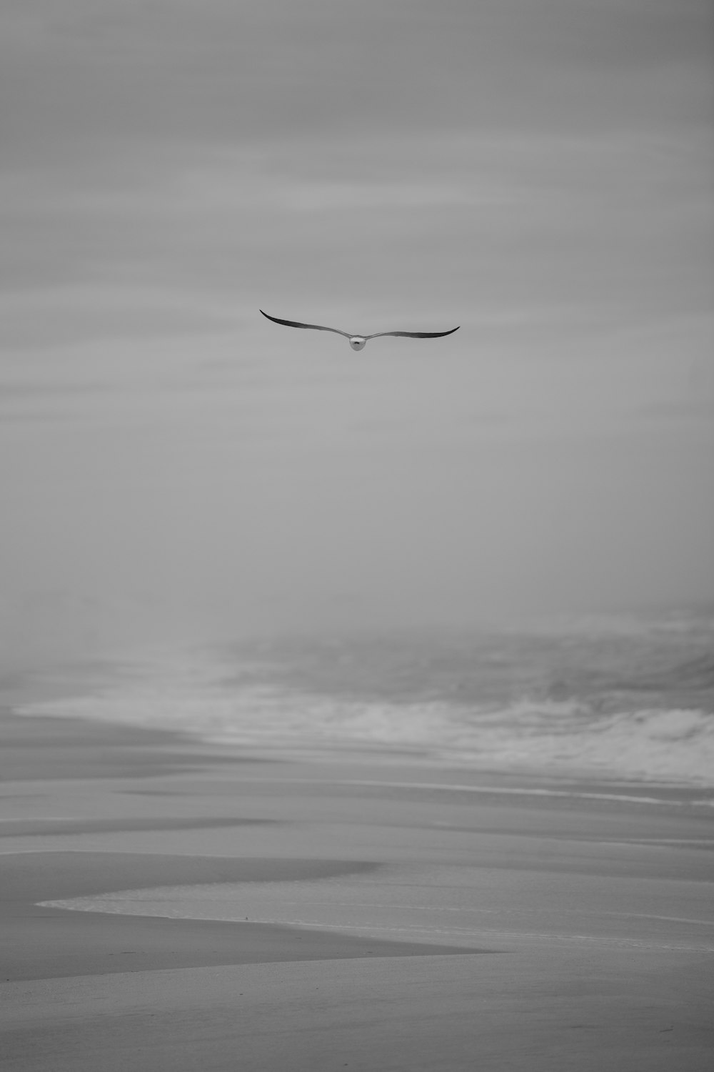 a black and white photo of a bird flying over the ocean