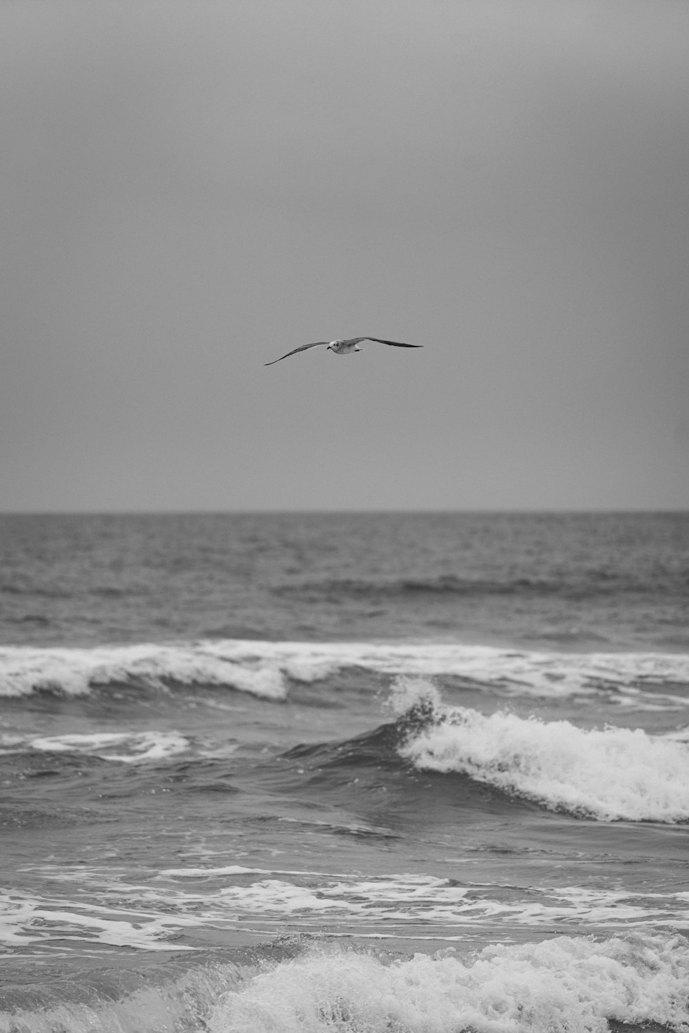 a black and white photo of a bird flying over the ocean