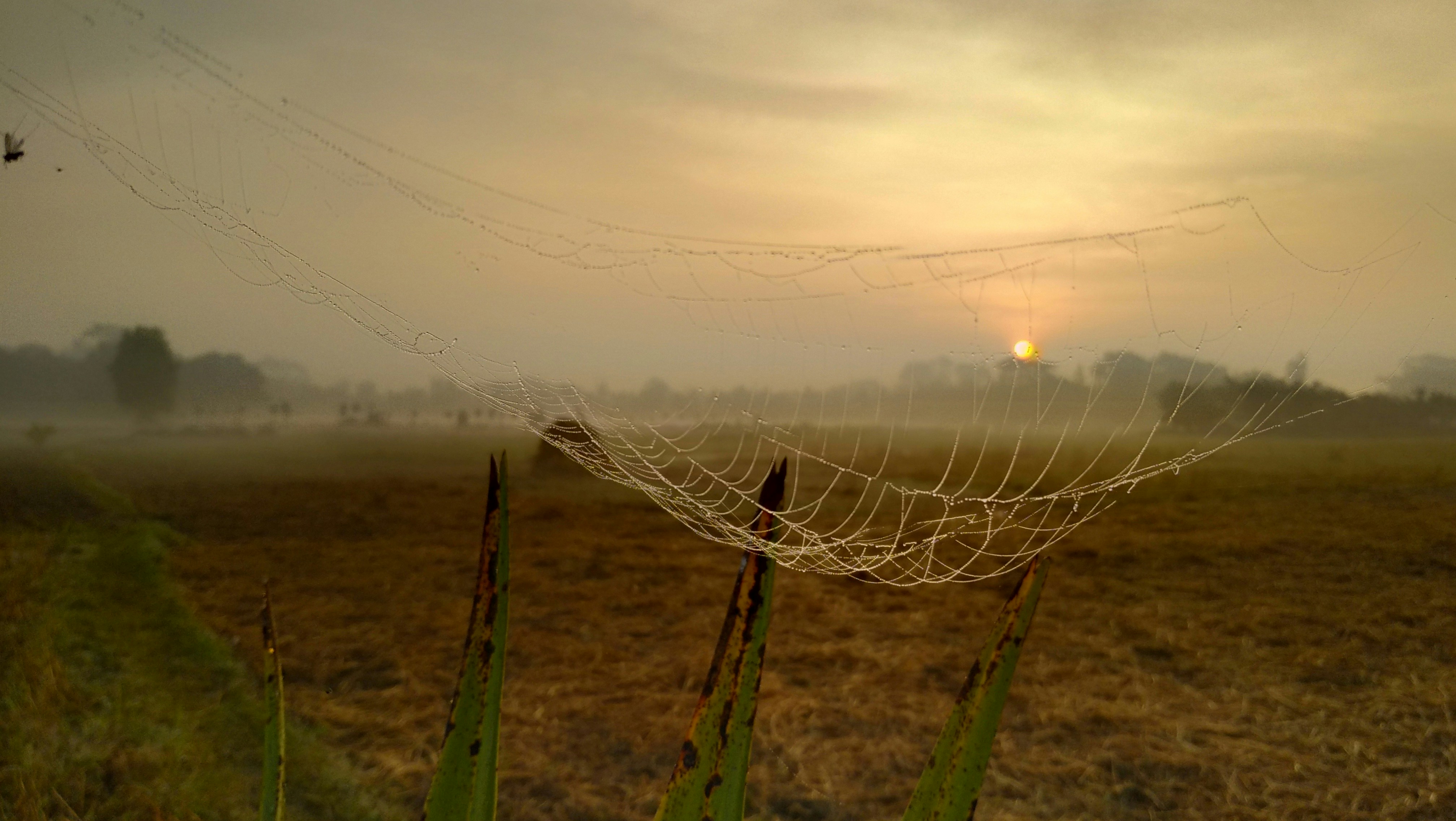 MD Rassel Hossain (@rasselmrh) | Unsplash Photo Community