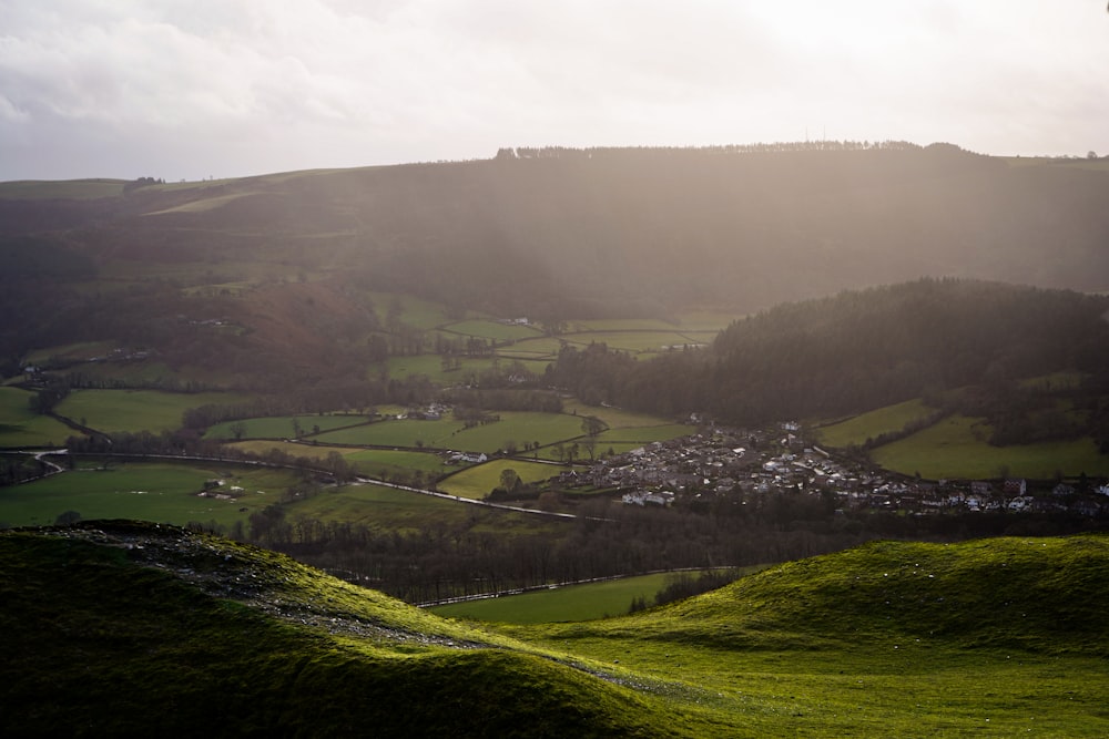 a lush green hillside covered in lots of green grass