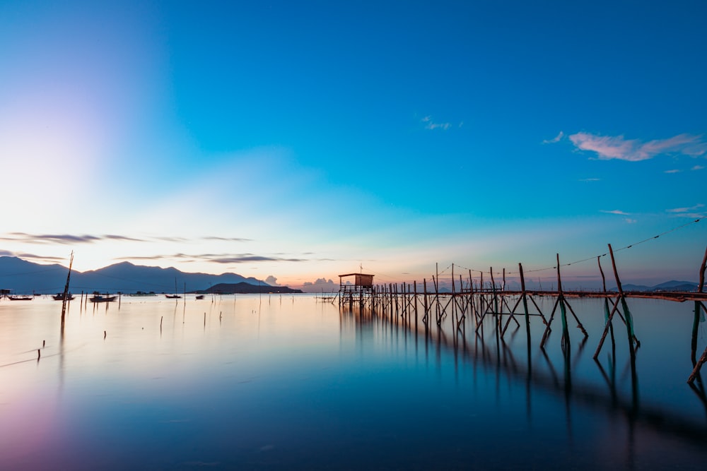 a body of water that has a bunch of poles in it