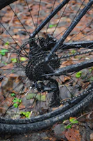 Hands adjusting bike gears next to rugged gravel terrain scattered with autumn leaves