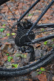 Close-up of gravel bike components on a rugged path.