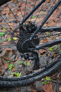 Hands adjusting bike gears next to rugged gravel terrain scattered with autumn leaves