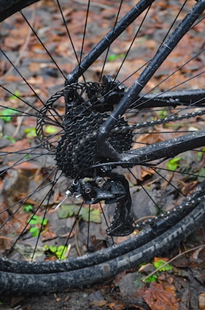 photo-1672595009993-7d129b77c419?q=85&w=543&h=453&fit=crop Blog