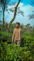 A person stands in a lush green tea garden, surrounded by rows of tea plants. Tall trees with sparse branches are visible in the background against a bright blue sky. The person is wearing a brown turtleneck sweater and a plaid scarf.