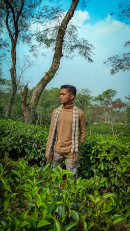 A person stands in a lush green tea garden, surrounded by rows of tea plants. Tall trees with sparse branches are visible in the background against a bright blue sky. The person is wearing a brown turtleneck sweater and a plaid scarf.