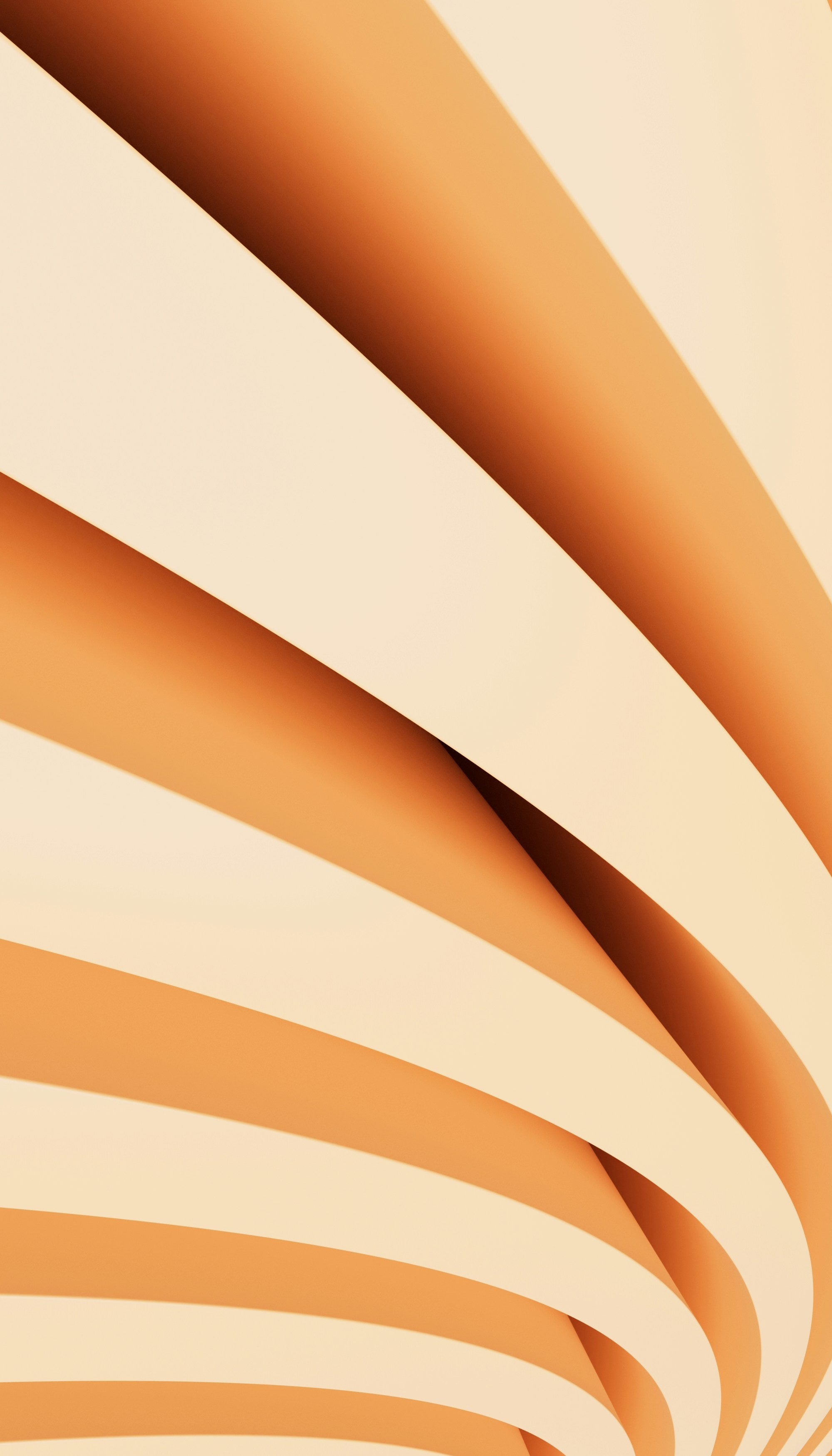 Photo by planetvolumes