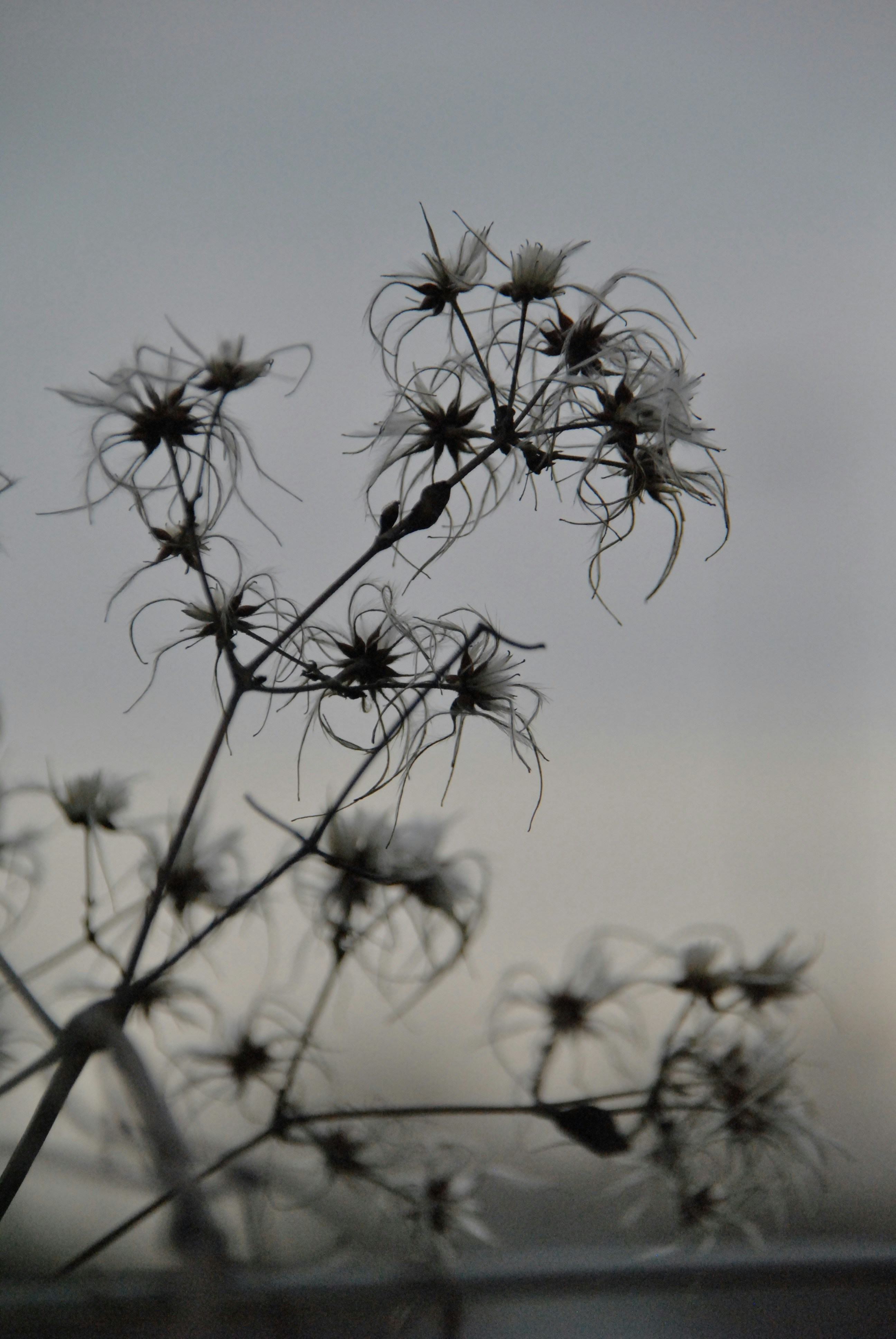 Photo by theodor_jacob