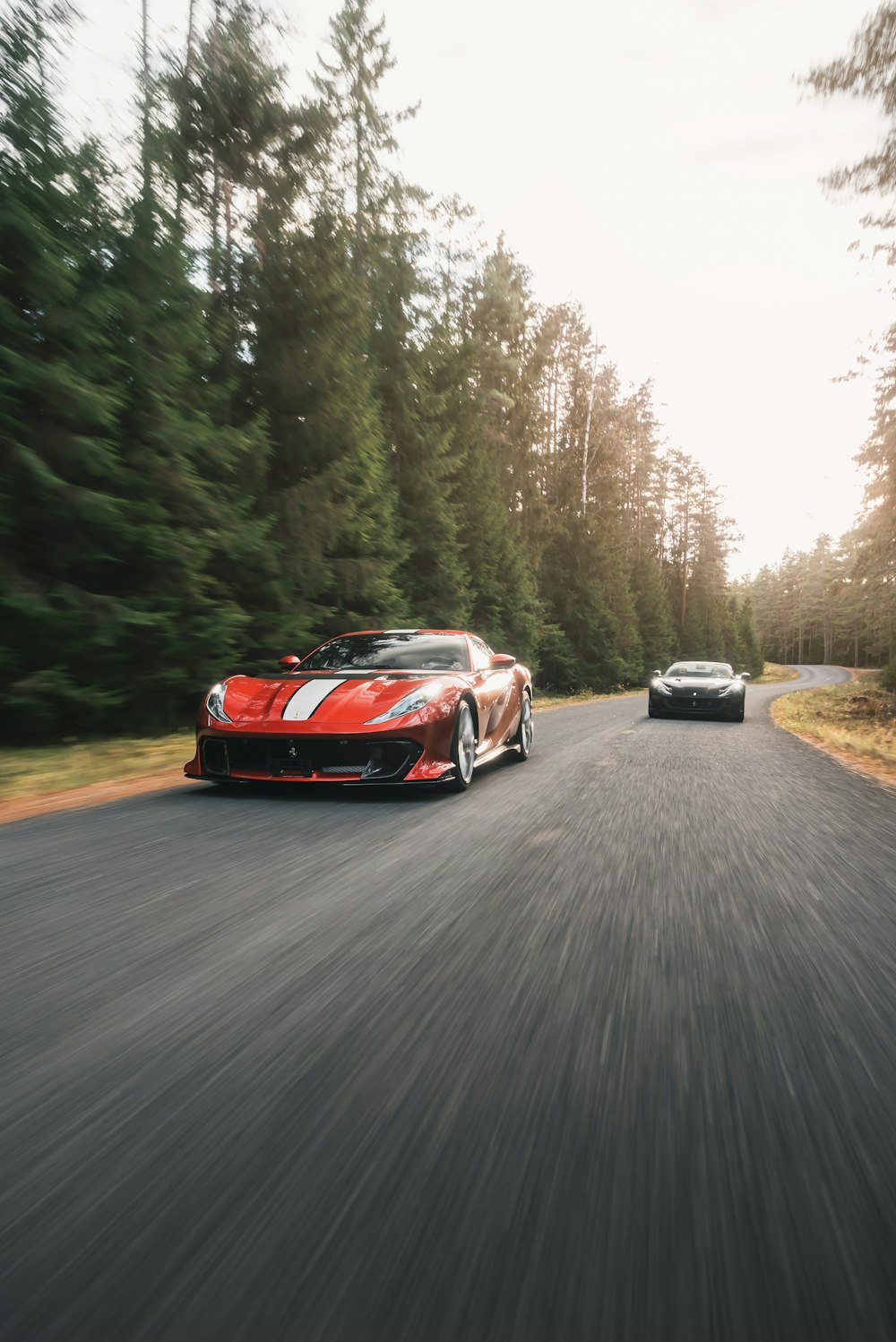 two cars driving down a road next to a forest