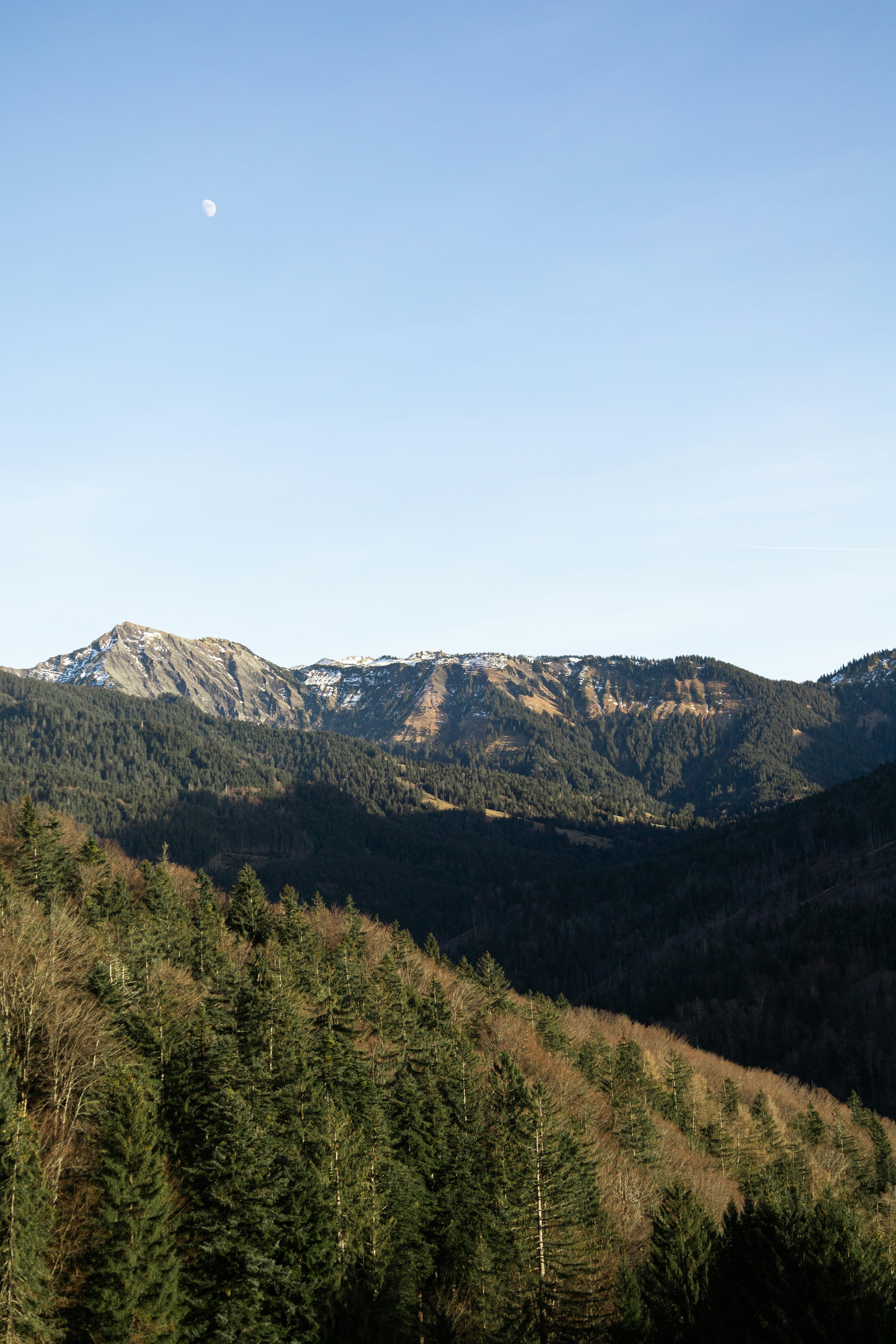 Photo by adambichler