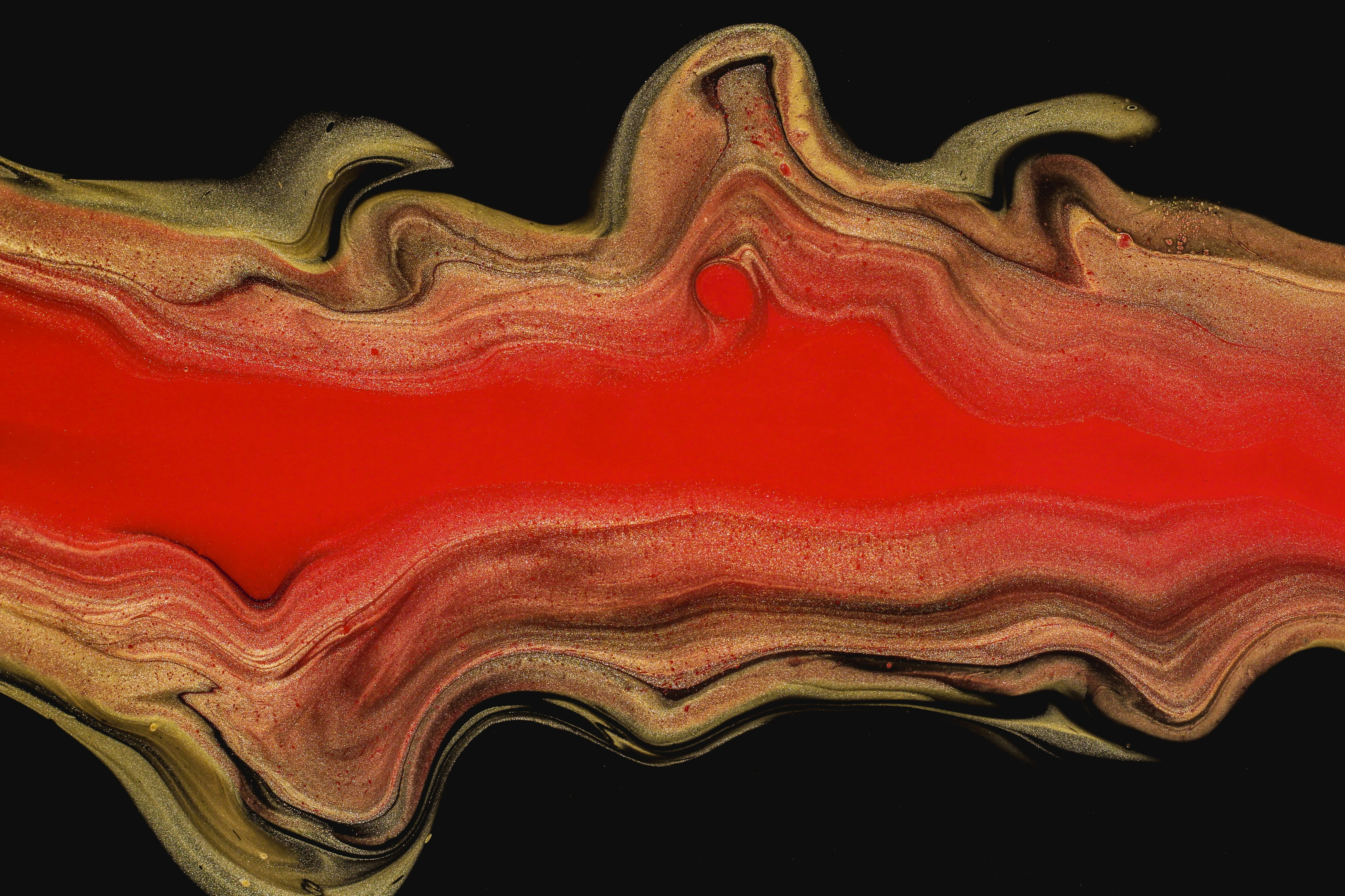 Photo by susan_wilkinson