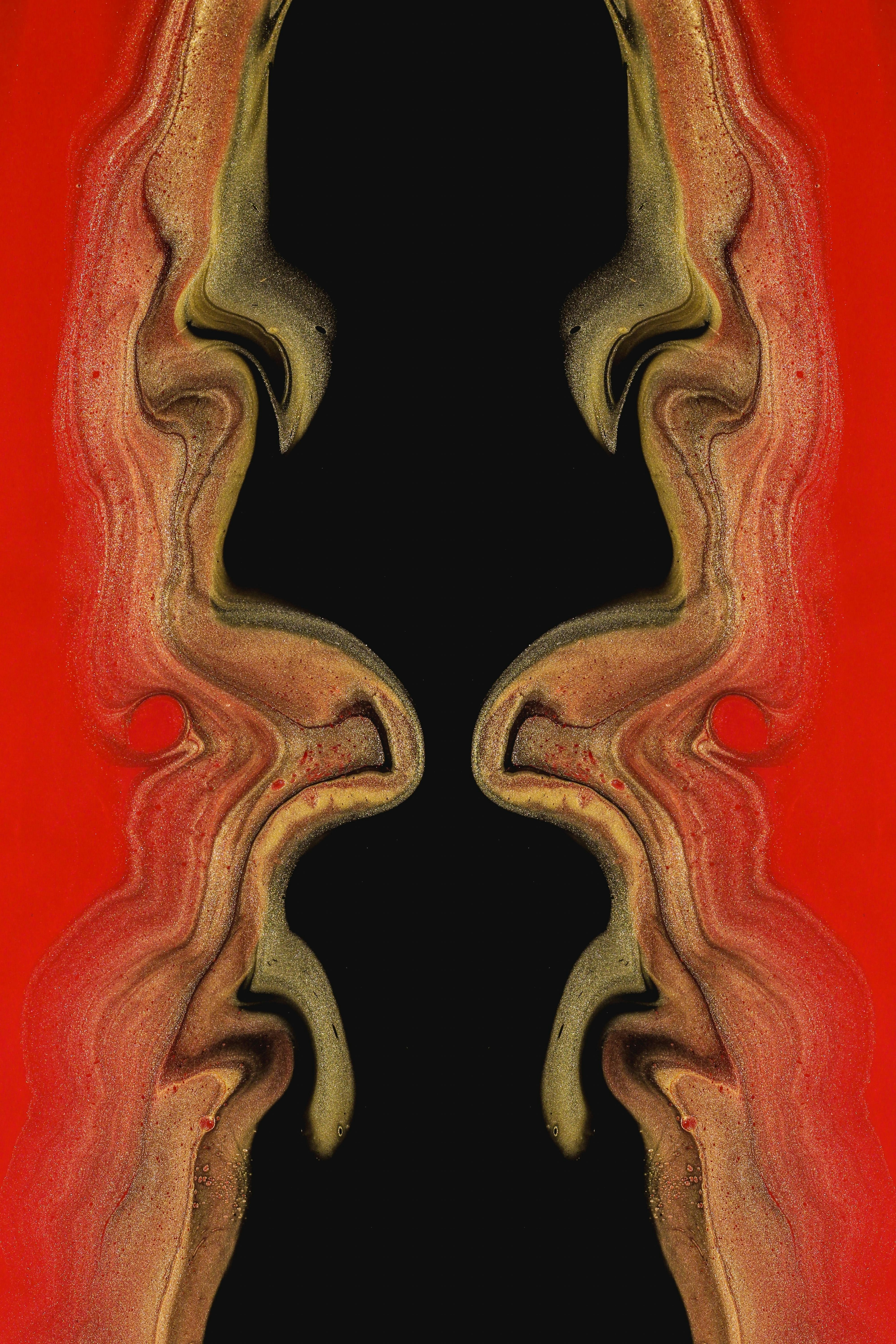 Photo by susan_wilkinson