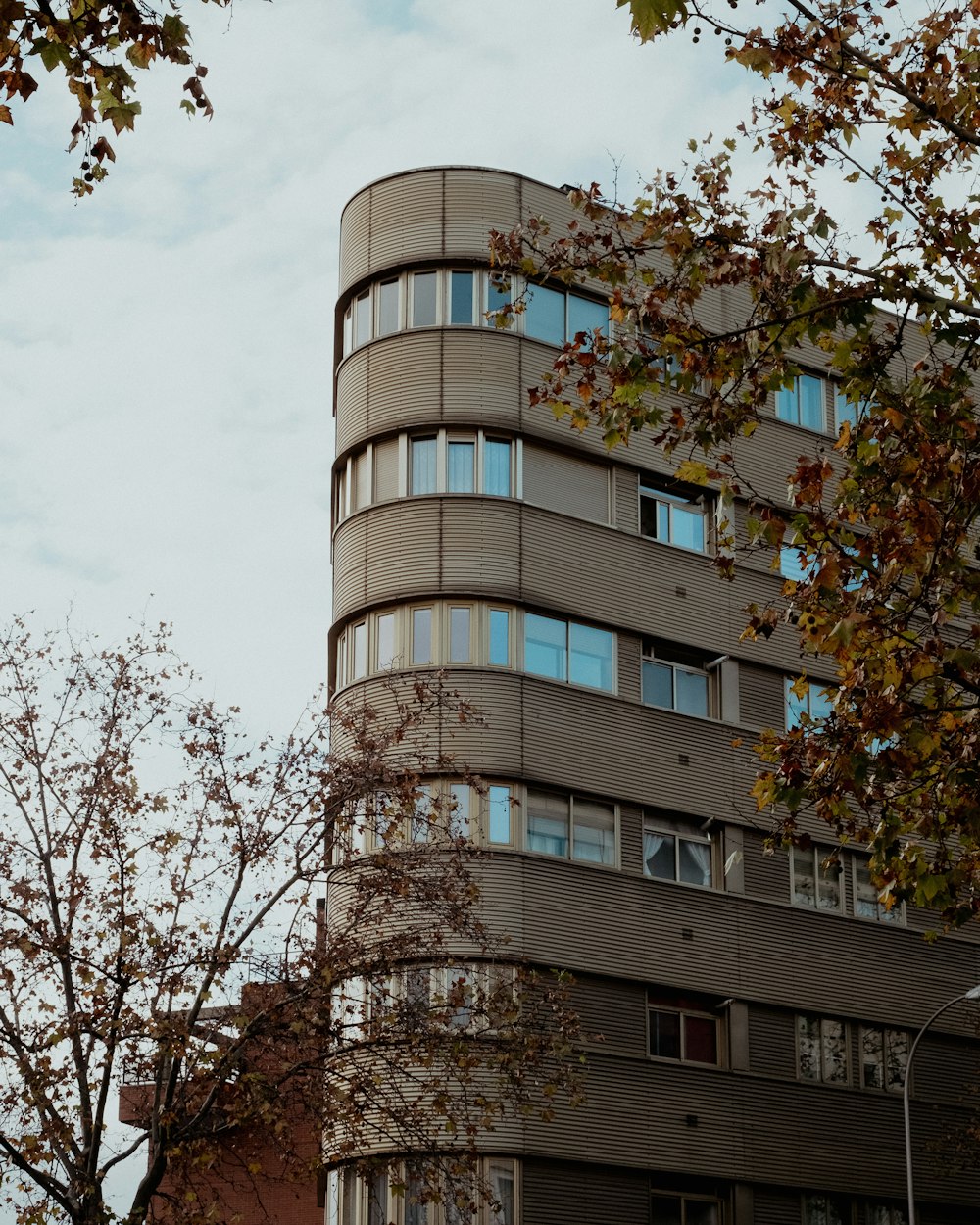 a tall building with many windows next to a tree