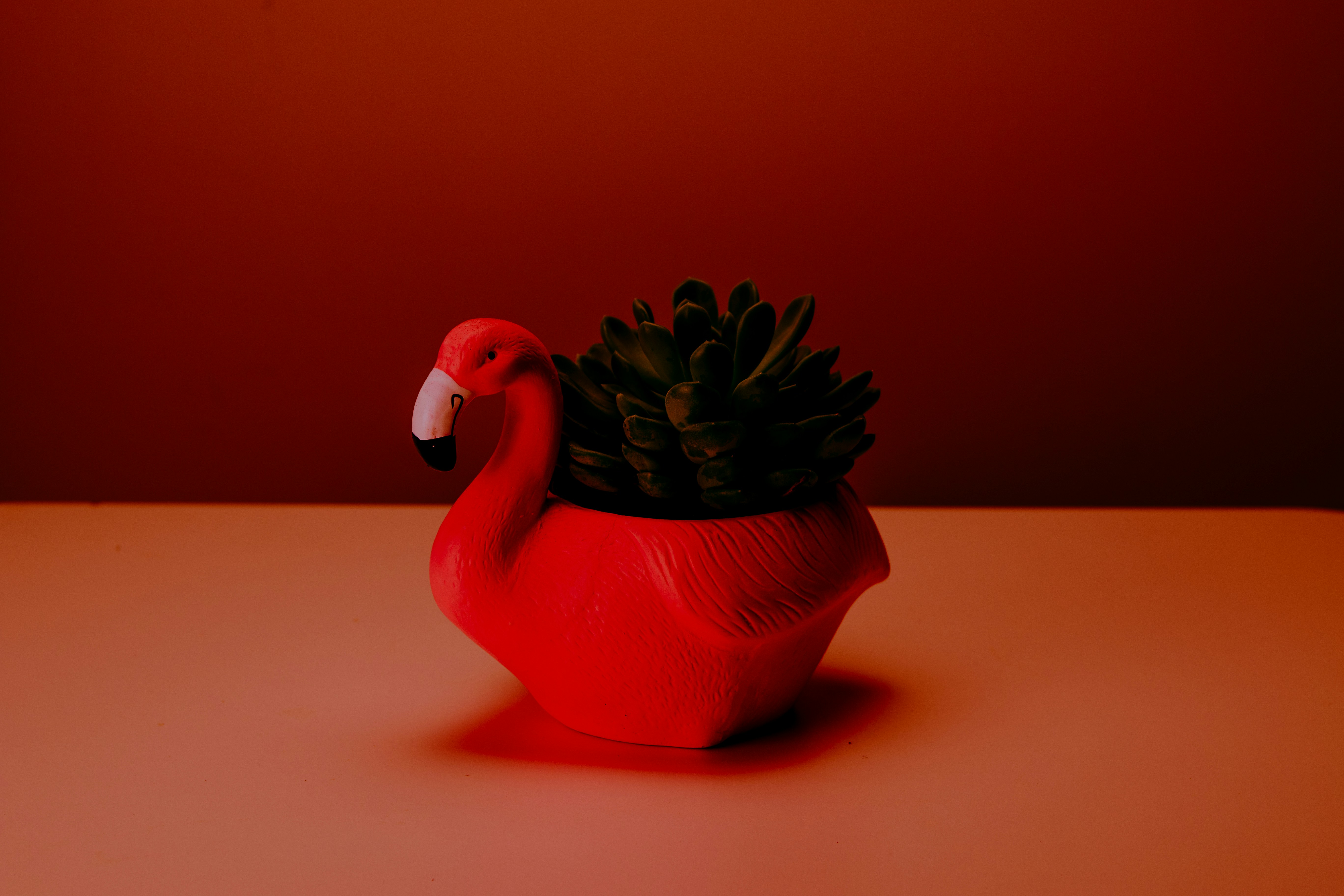 Geometric Planter thumbnail image