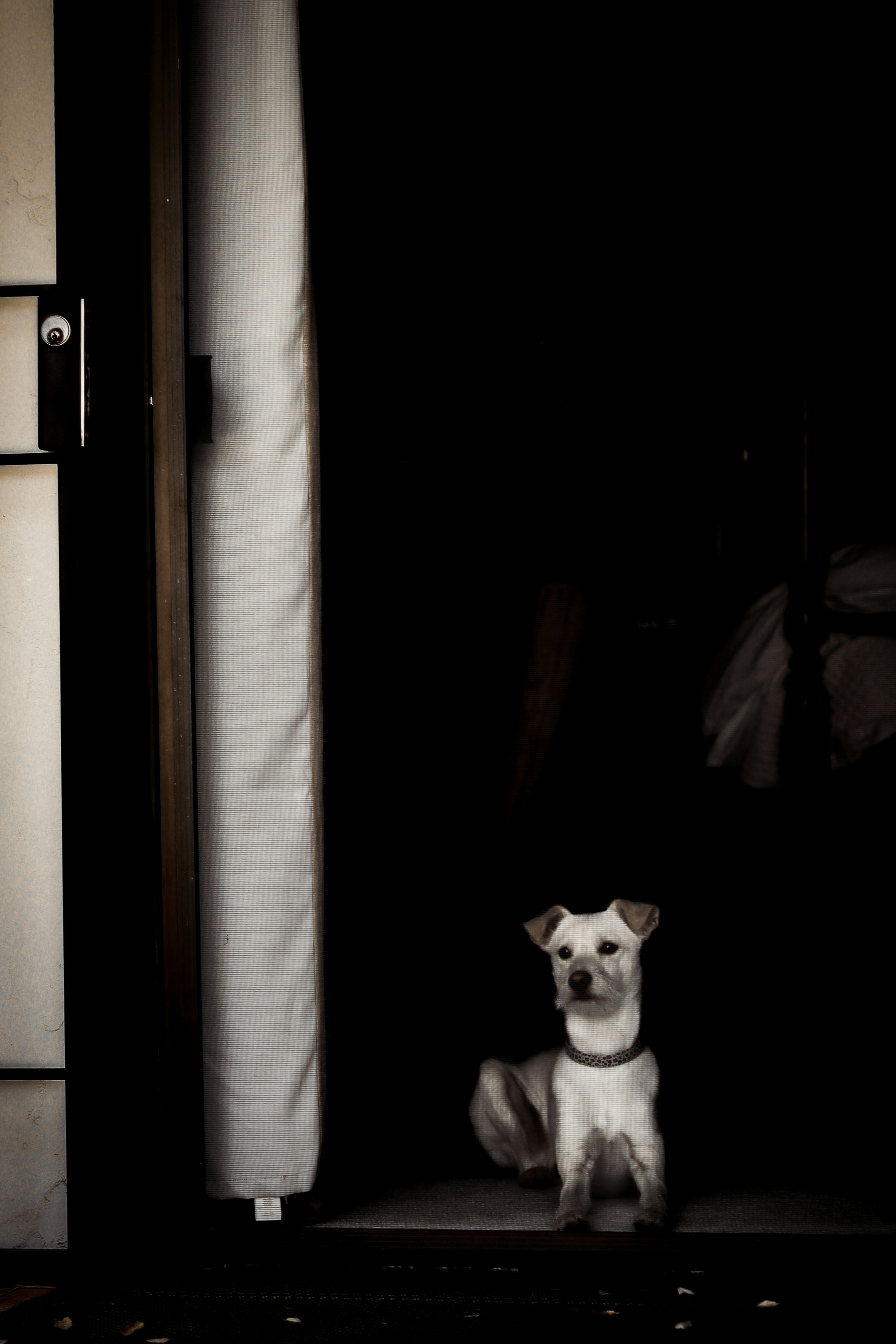 Photo by parkerdesignsss