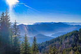 A stunning panoramic view of a mountainous landscape with layers of mist covering the valleys. Tall evergreen trees are in the foreground, and the sun is shining brightly, creating lens flares and a vibrant blue sky. The scene conveys a sense of tranquility and natural beauty.