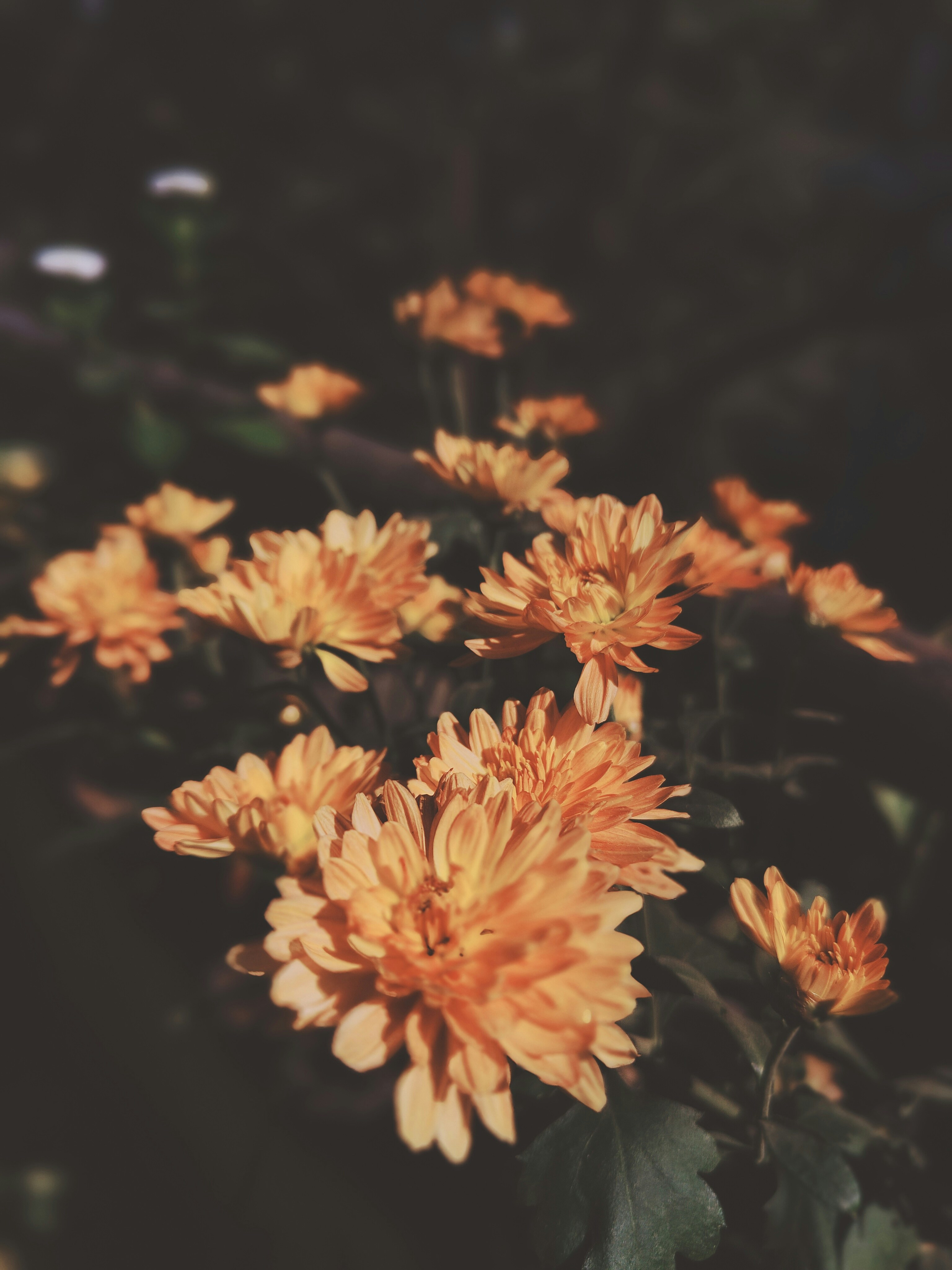 Photo by yogesh_7