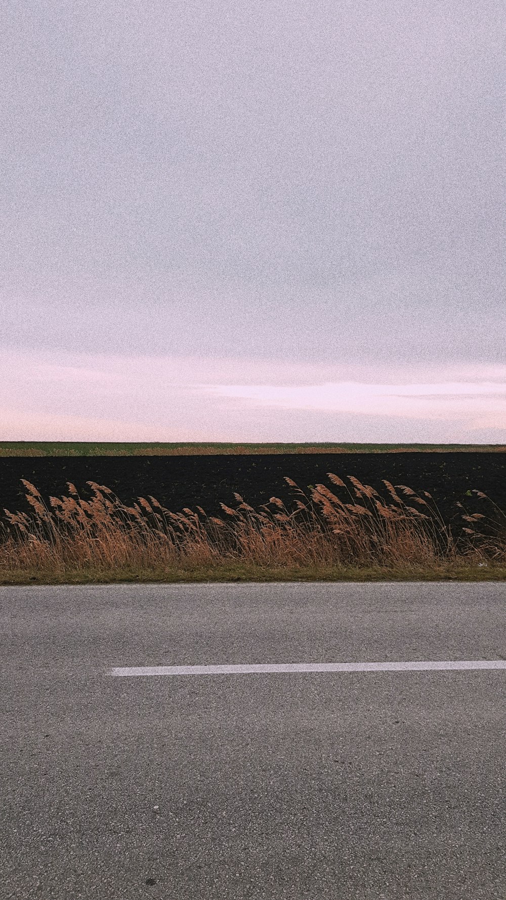 a red stop sign sitting on the side of a road