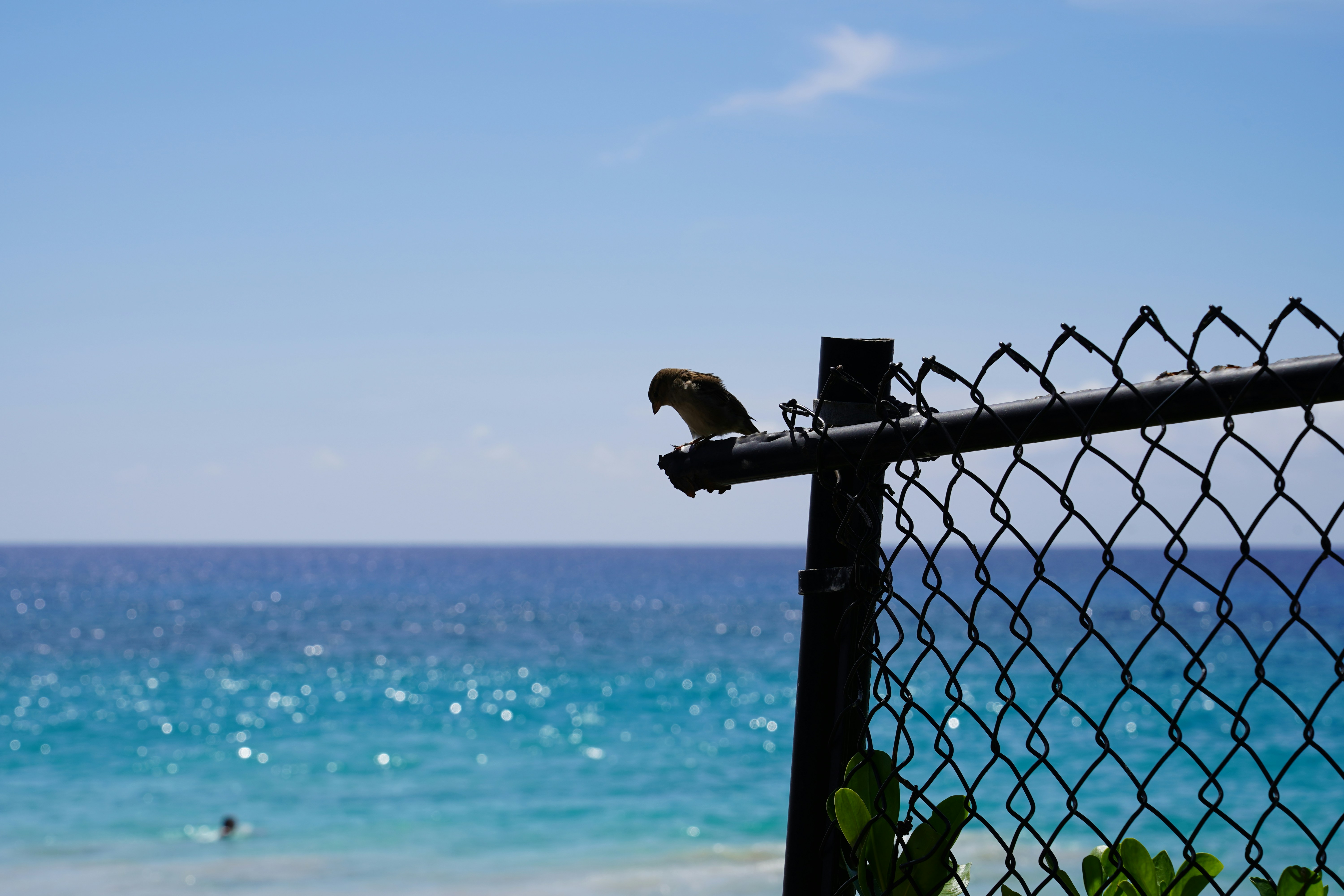 Playa El Cayude view 3