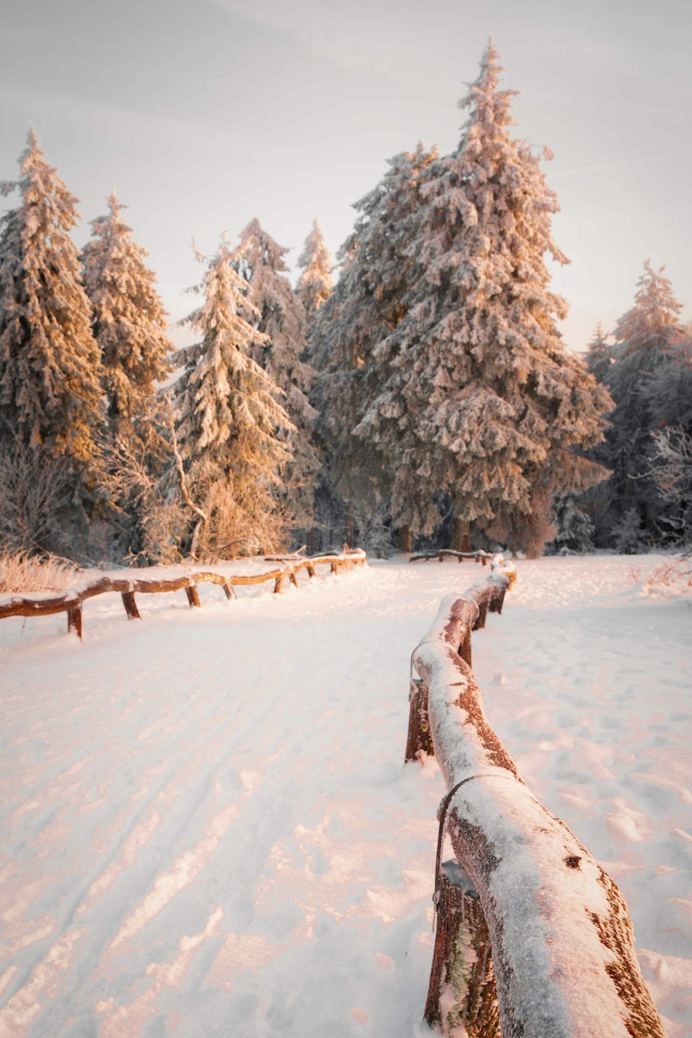 a snow covered park with benches and trees