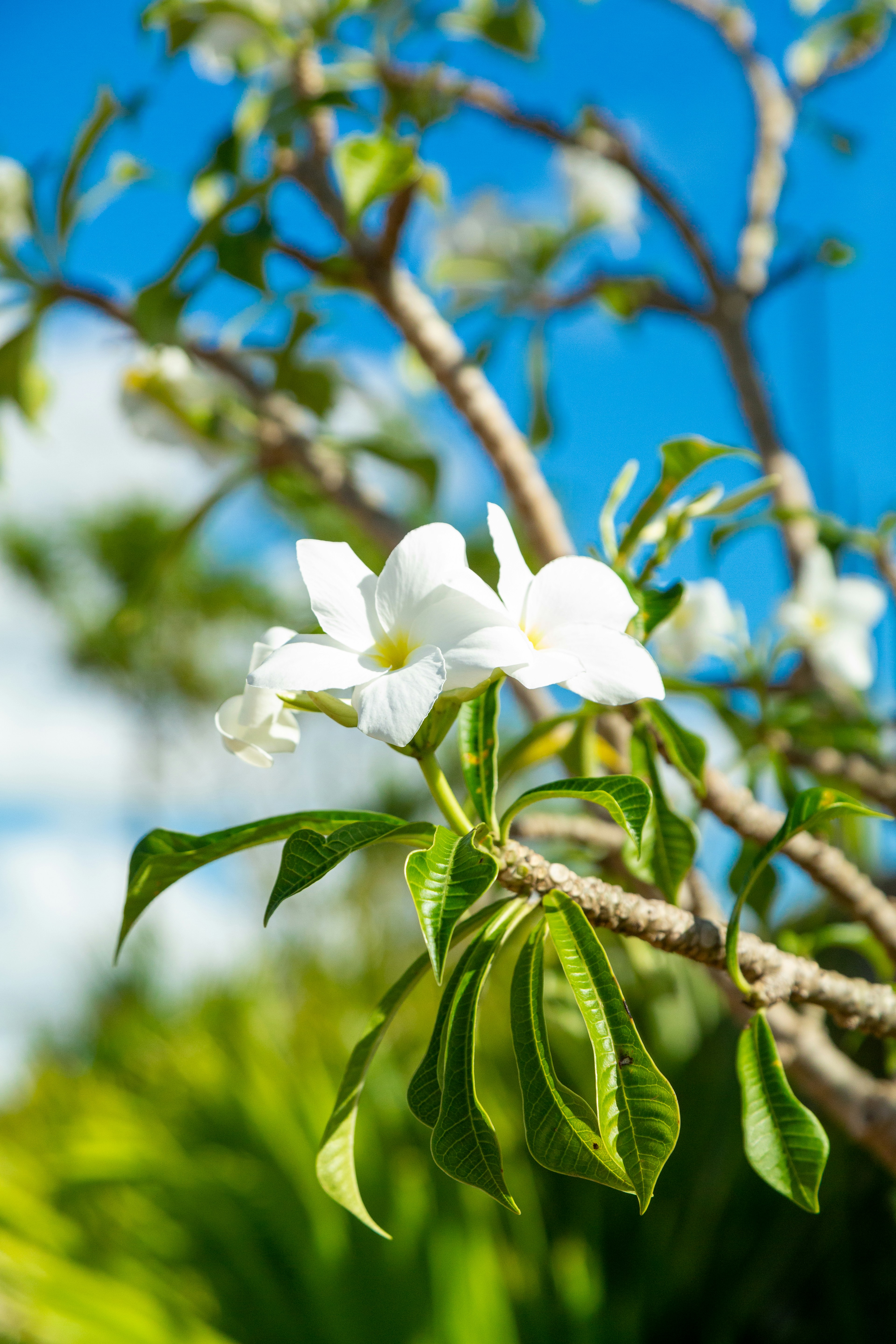 Photo by soyemmanueltavarez