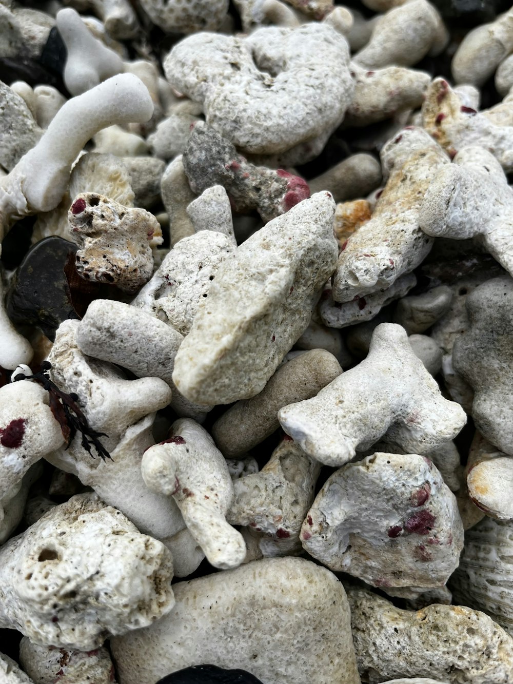 a pile of white rocks with black dots on them
