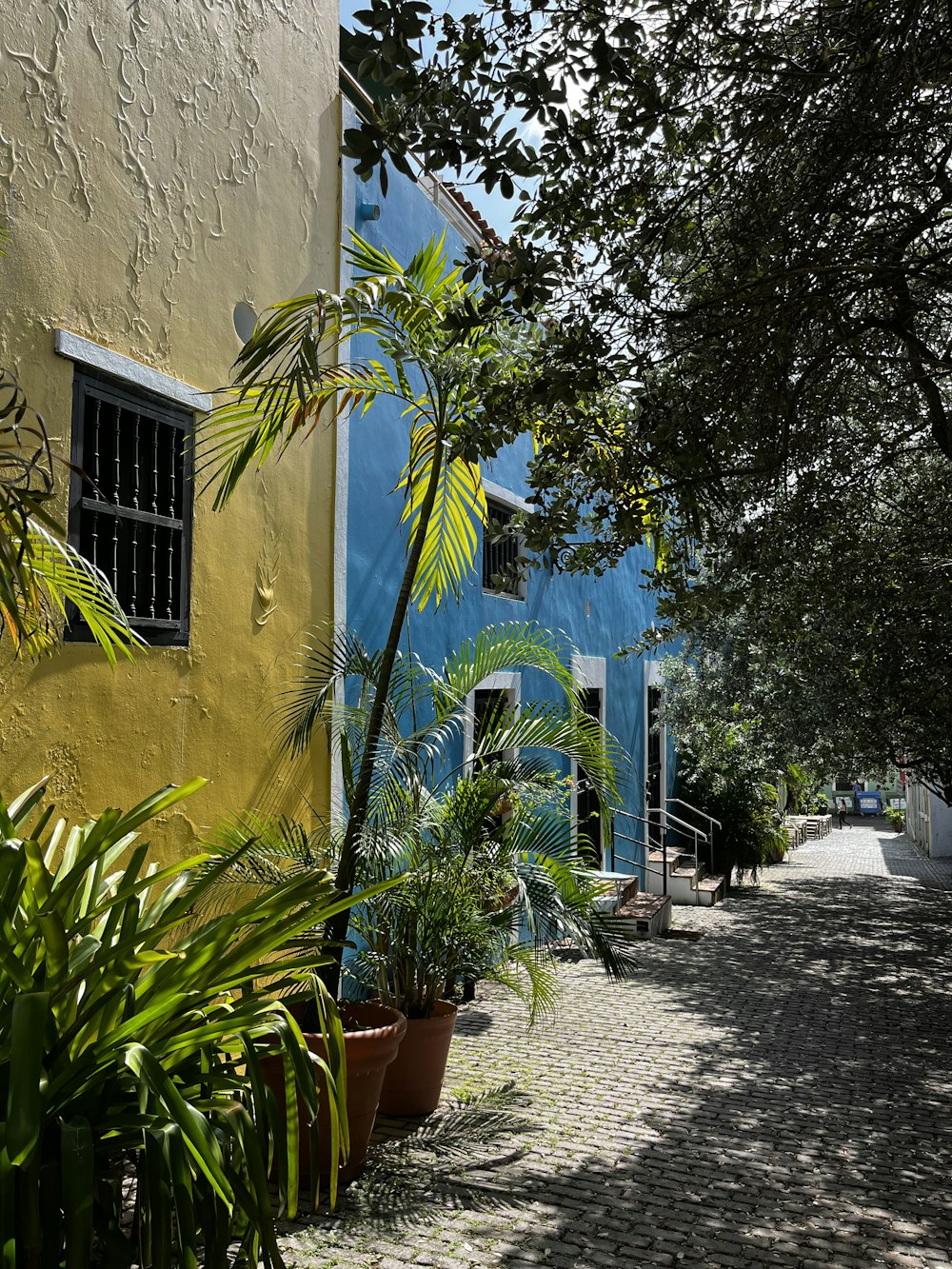 a blue and yellow building with a tree in front of it