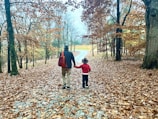 A smiling father and daughter walking hand in hand on a sunlit forest path.