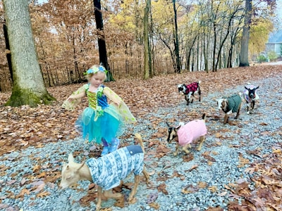 A young girl dressed in a colorful costume, possibly resembling a fairy, dances playfully on a gravel path in a forest with autumn leaves scattered around. Accompanying her are several small goats, each wearing cute sweaters in different patterns and colors.
