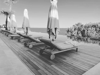 Guests relaxing on plush loungers under palm trees, enjoying a peaceful tropical breeze